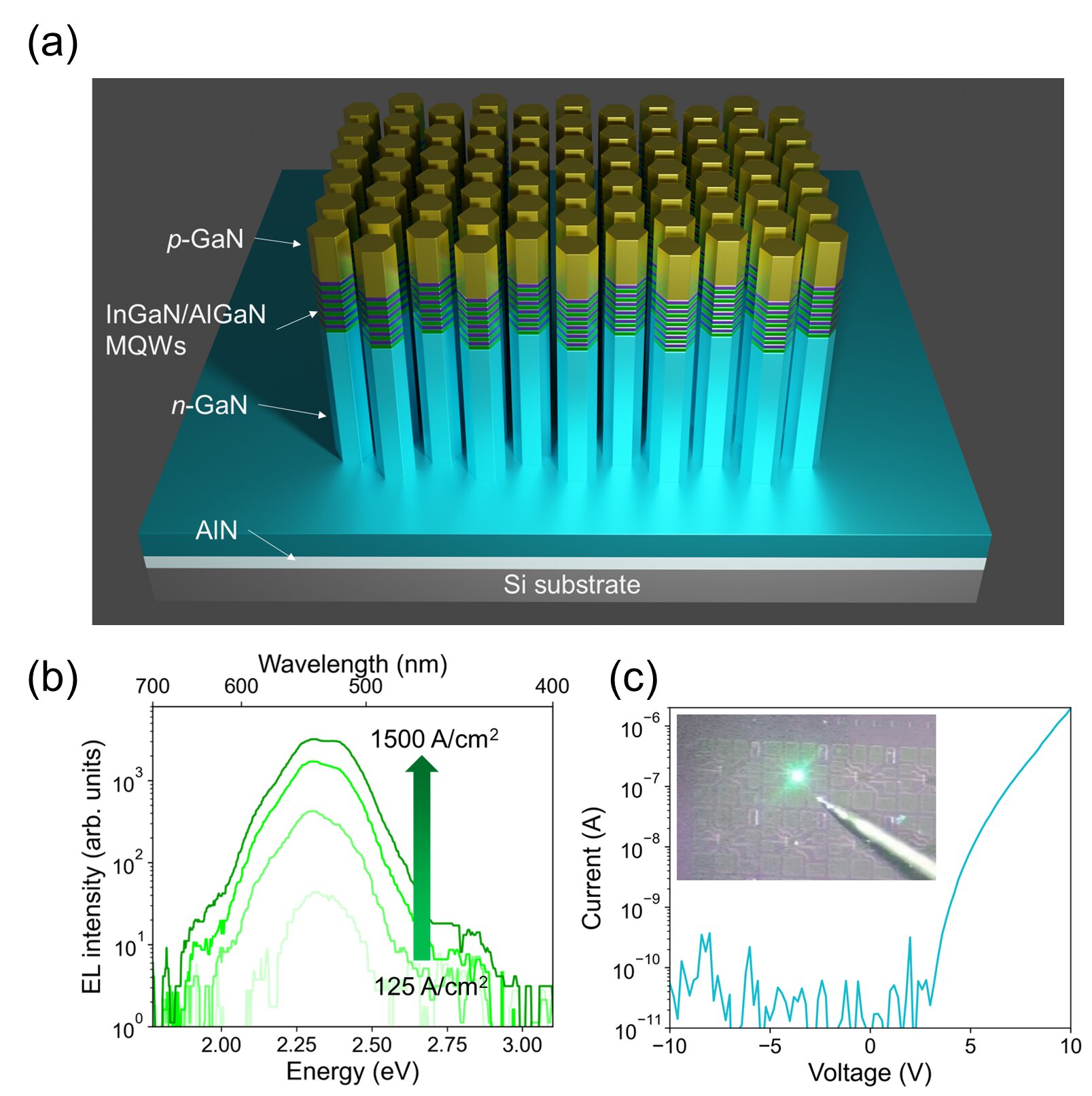 wavelength-stable-green-ingan-micro-leds-monolithically-grown-on-silicon-substrate