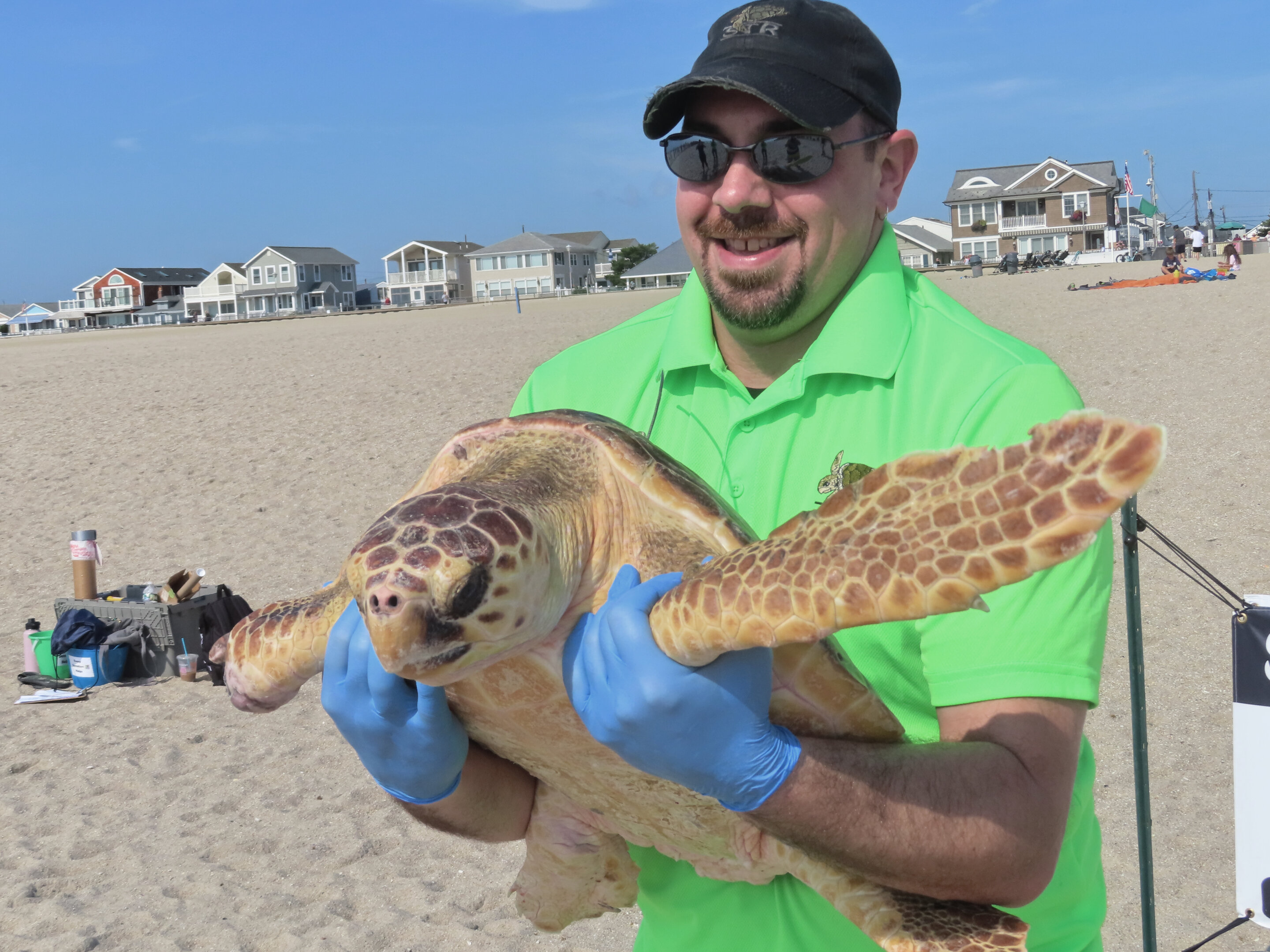 World’s toughest turtle? Survivor among 8 returned to ocean