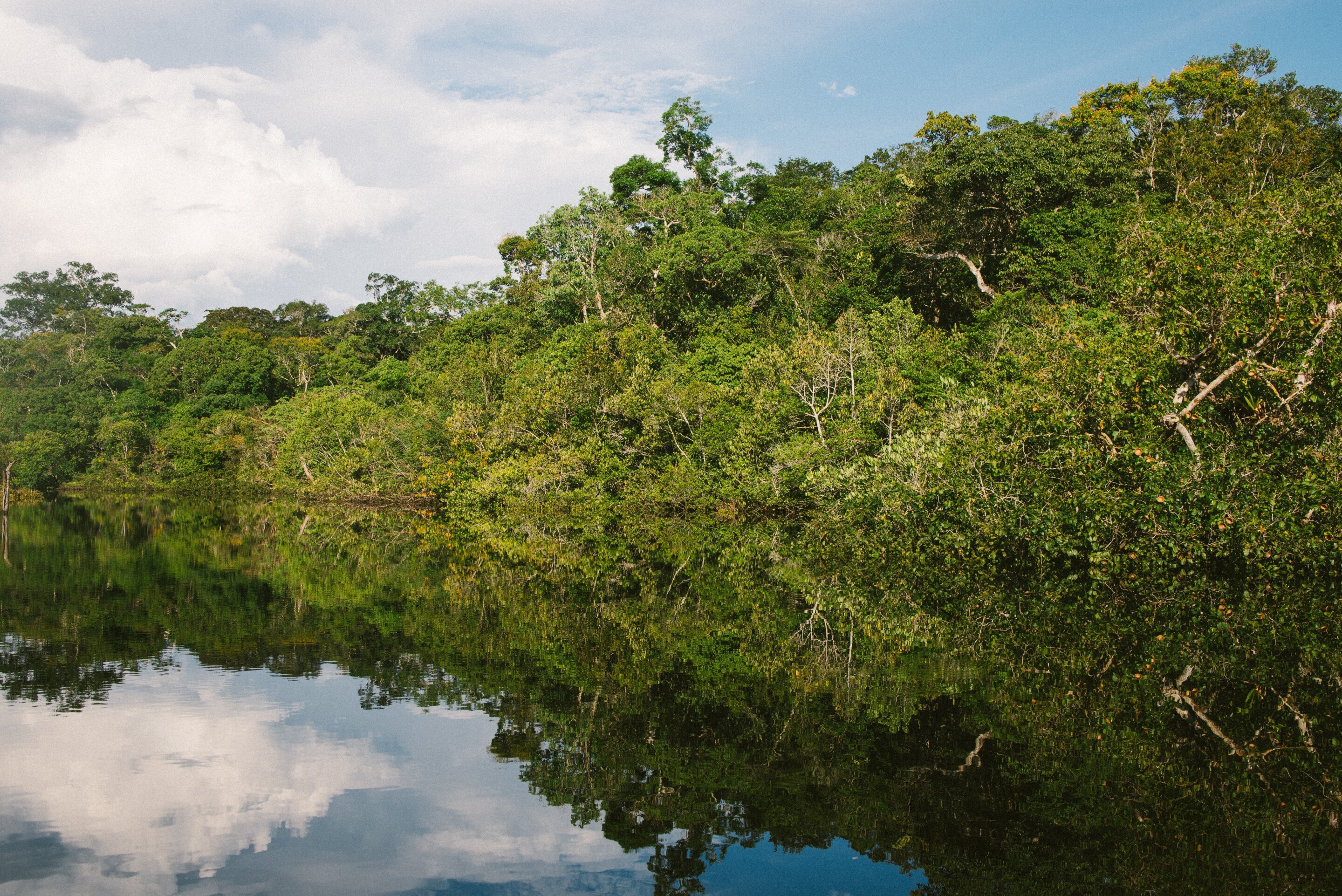 Scientists take a portable laboratory into the Amazon to study adaptation of trees to drought