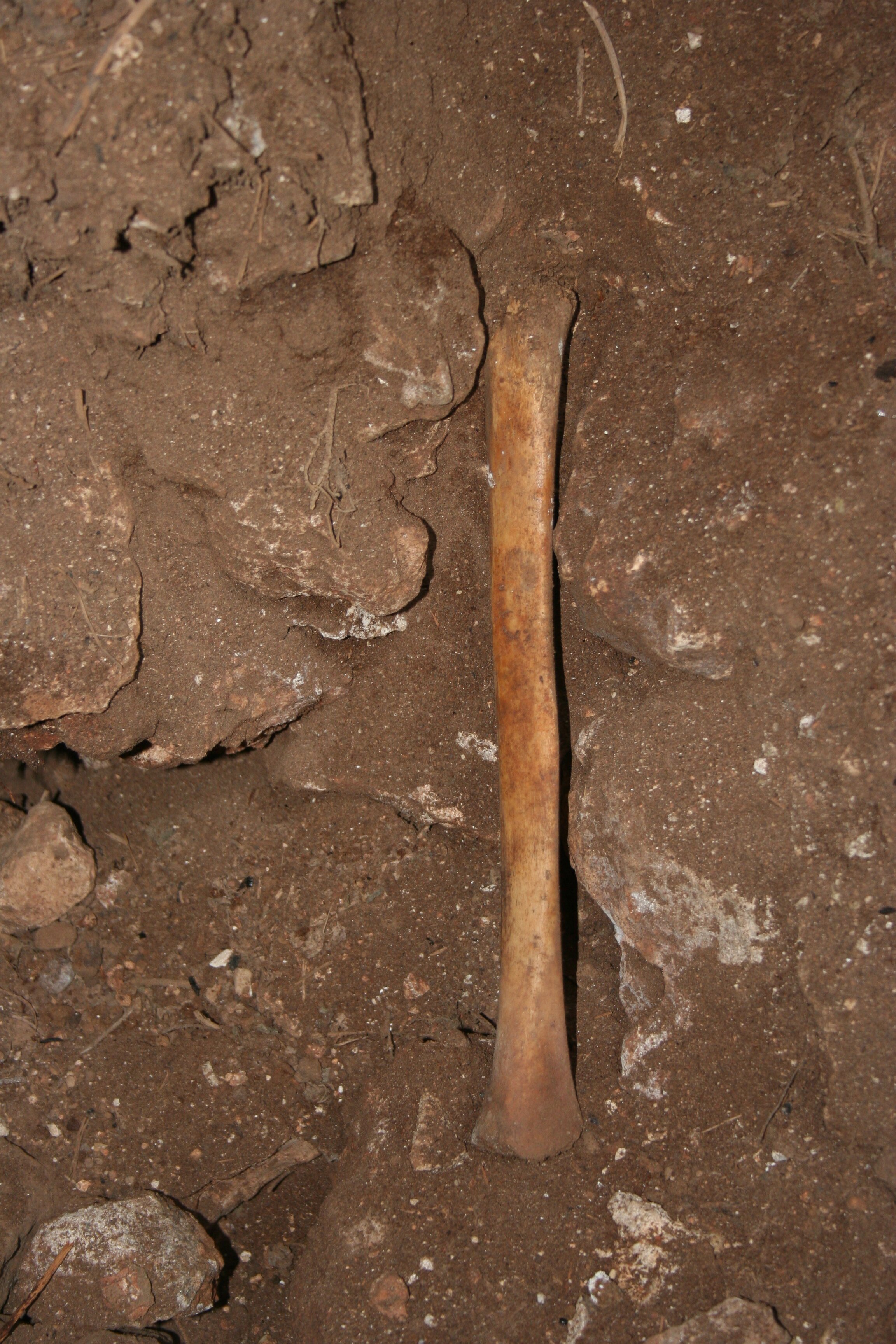 Ancient human remains buried in Spanish caves were subsequently manipulated and utilized