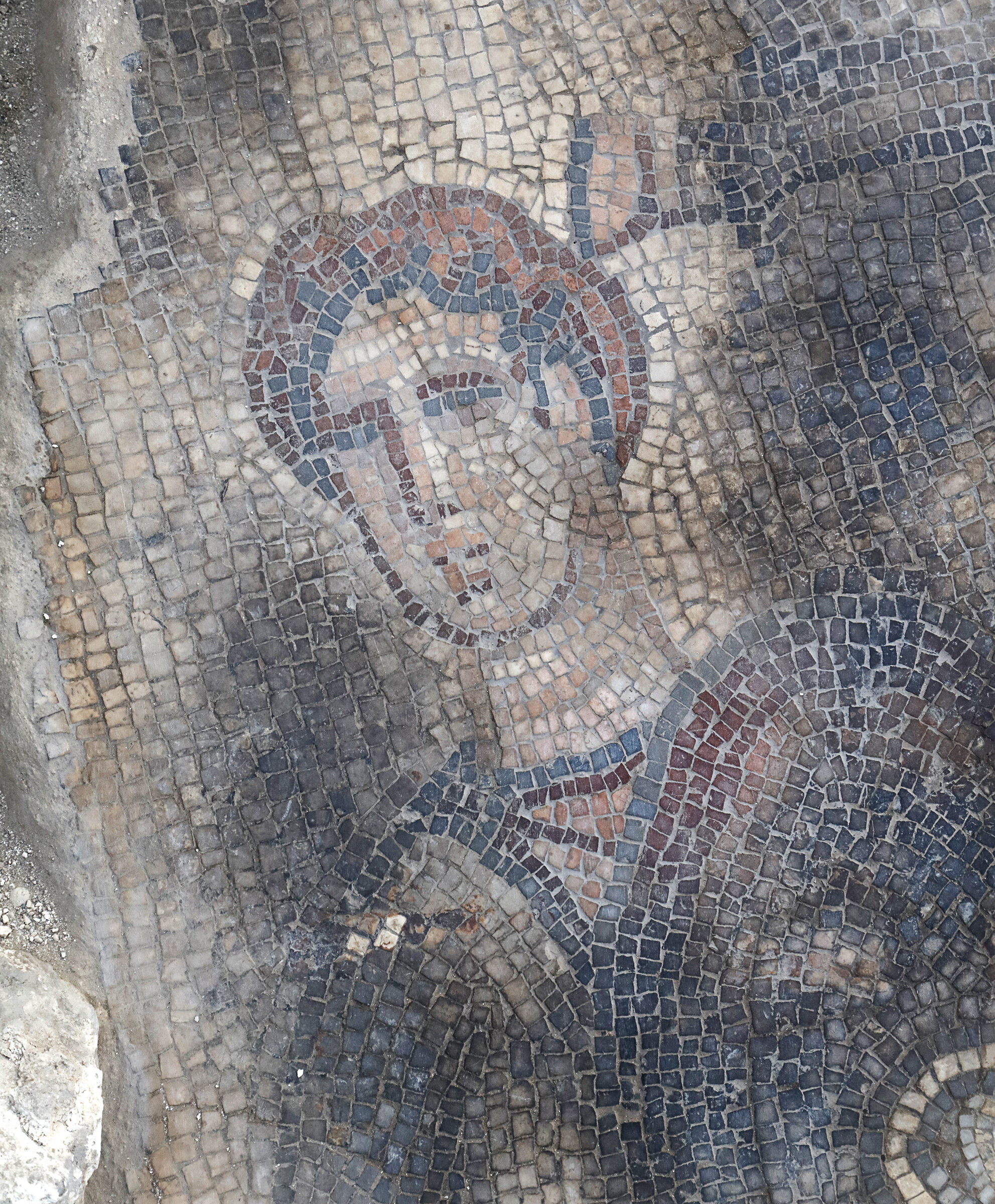 The Lod Mosaic—Jewish, Christian or Pagan? - Biblical Archaeology Society