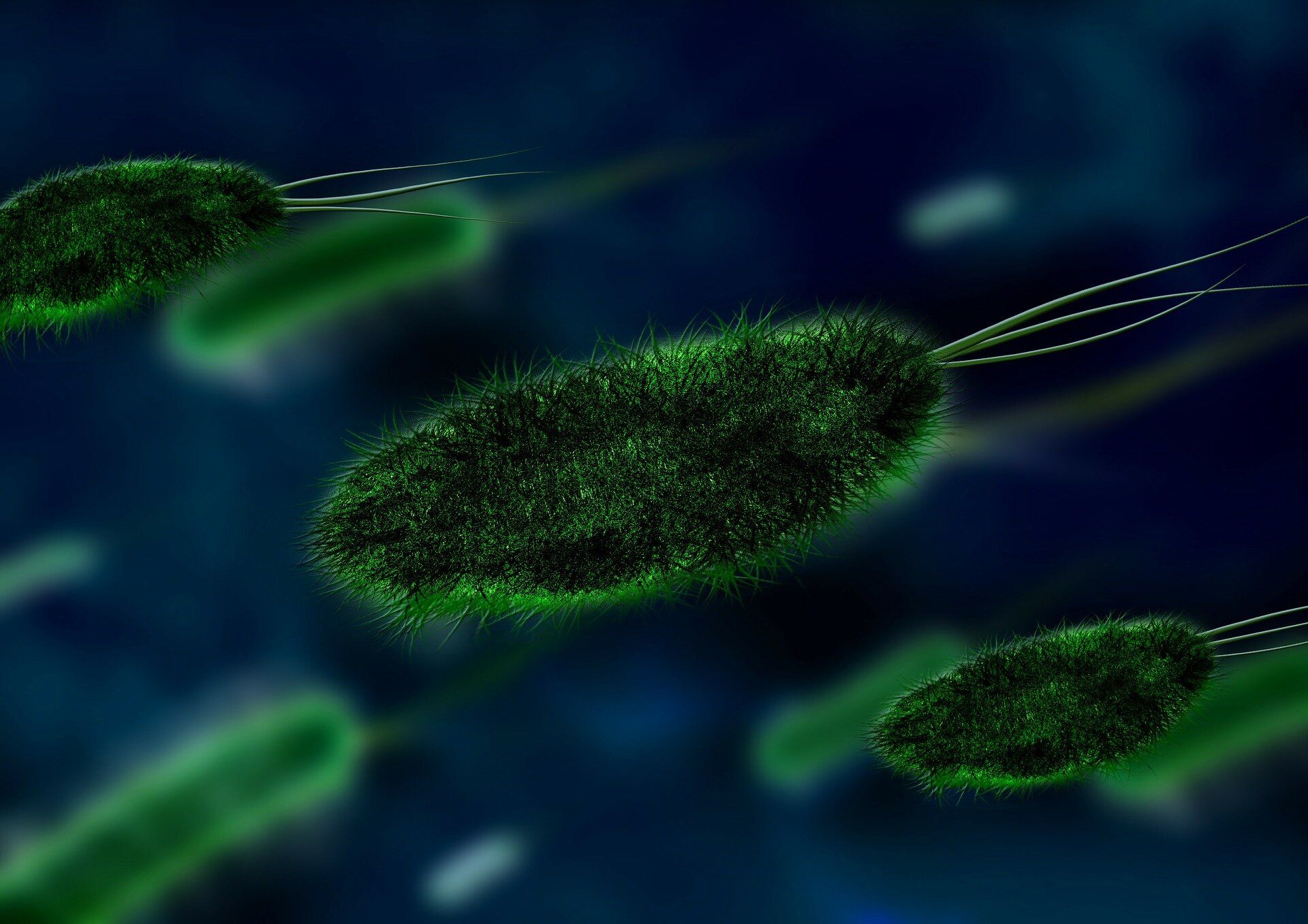 Behandeling met enzymremmers kan antimicrobiële resistentie helpen bestrijden