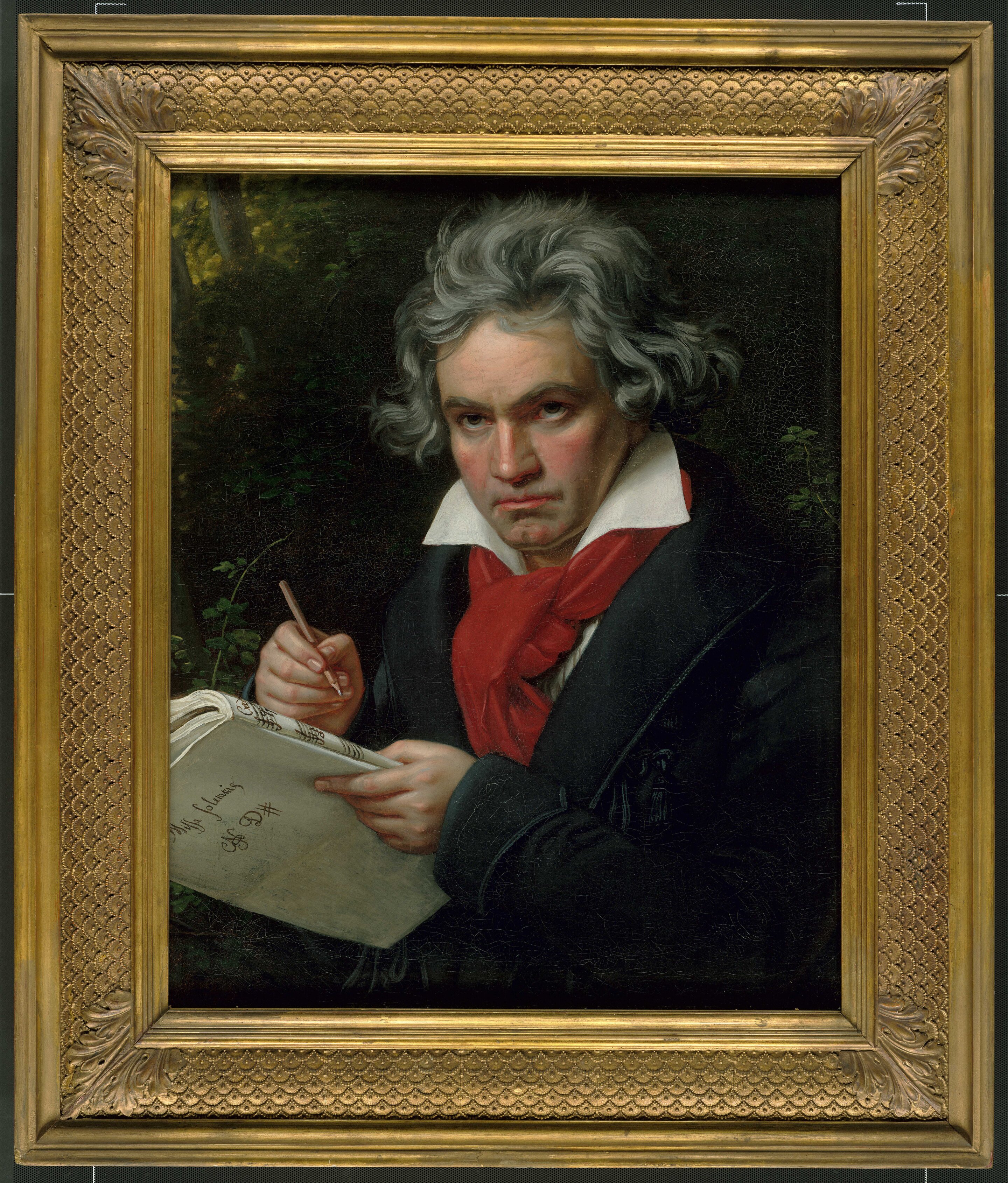 Ludwig van Beethoven - Symphonies, Deafness & Race