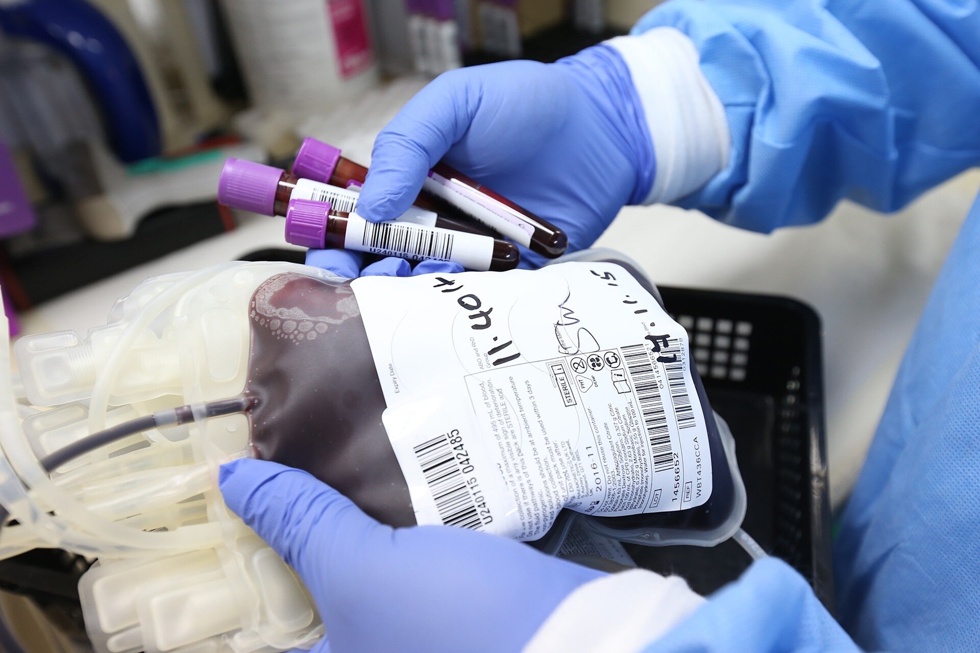 Making transfusion-transmitted malaria in Europe a thing of the past