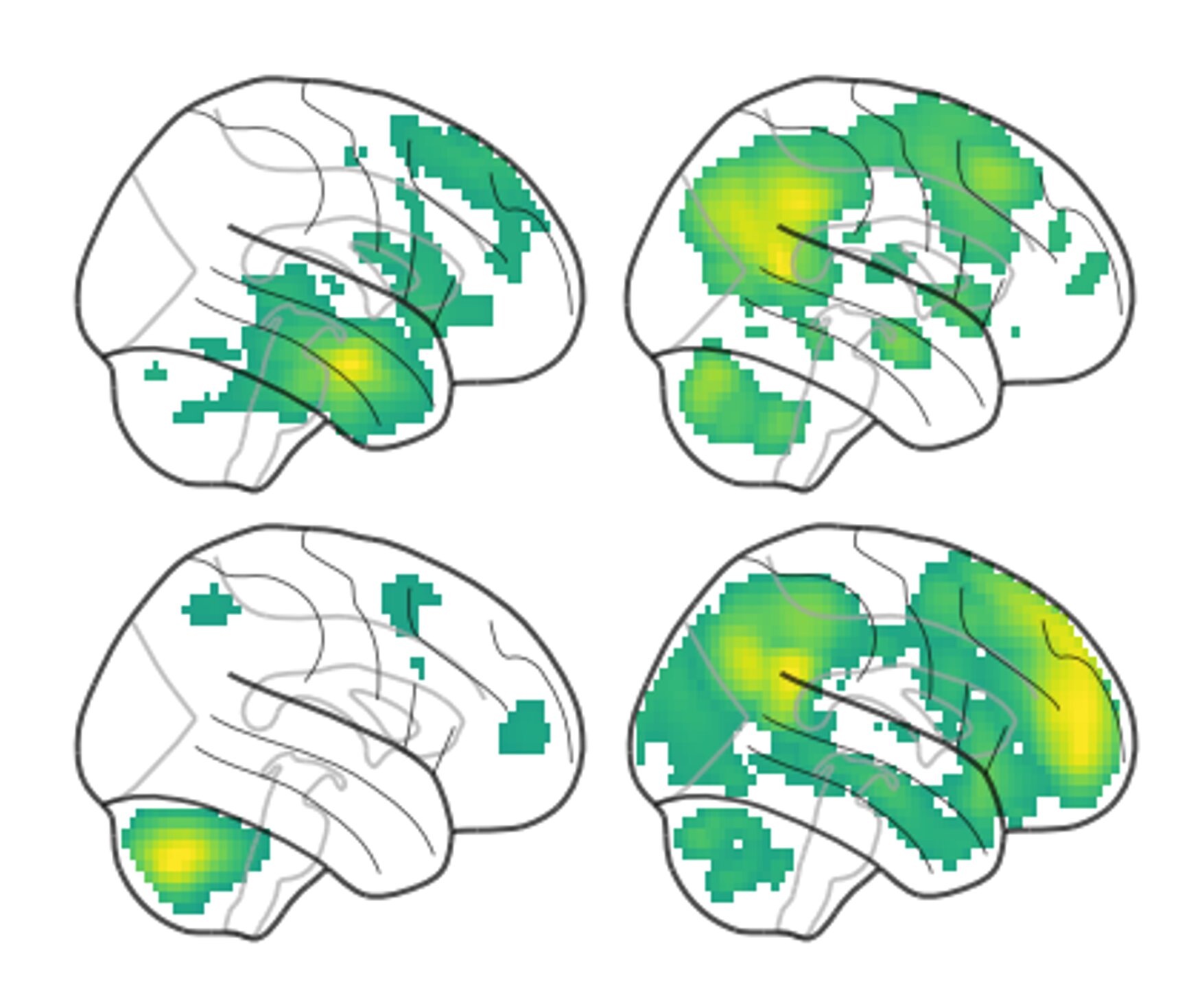 How the brain senses body position and moveme