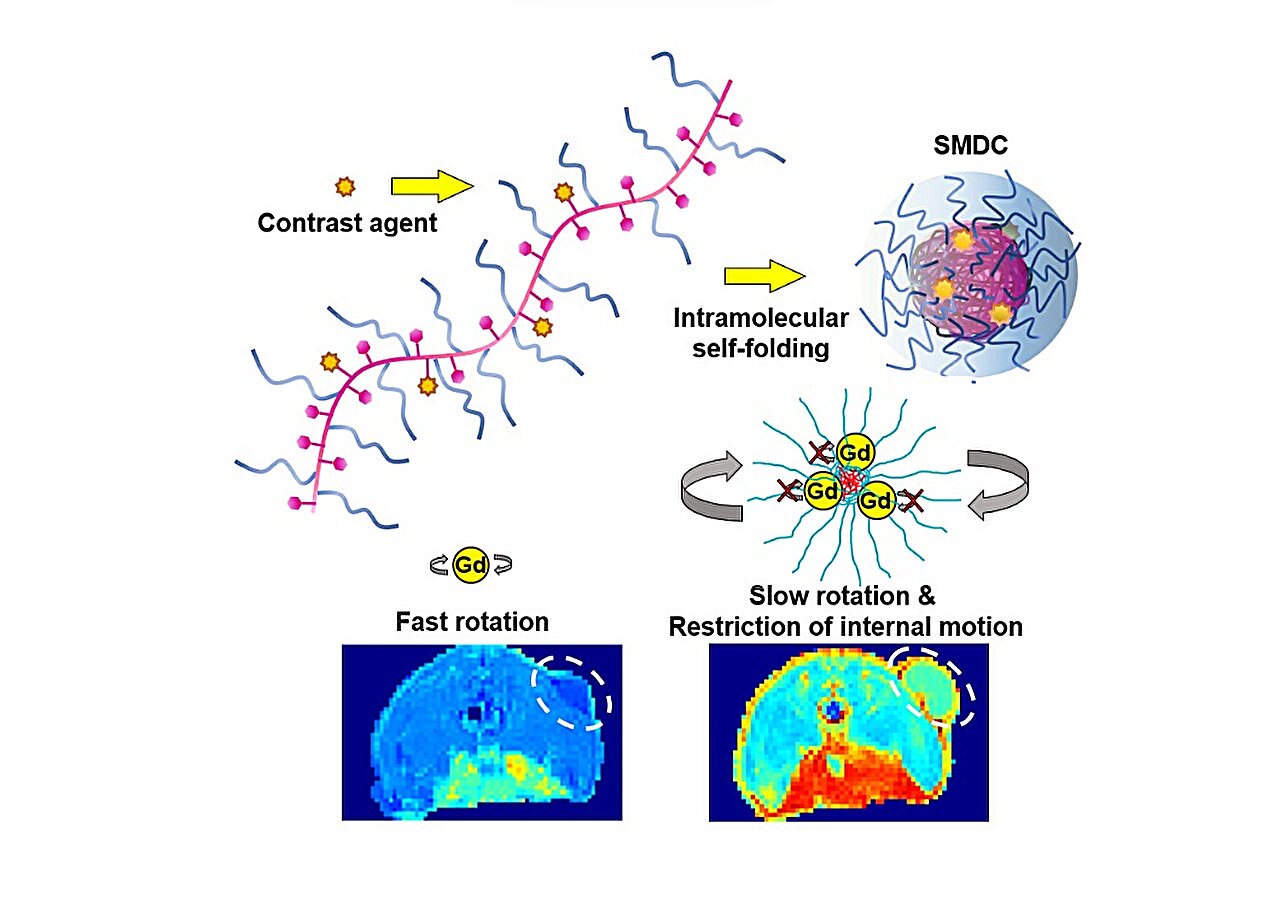 Avances en agentes de contraste de tamaño nanométrico y portadores de fármacos mediante moléculas autoplegables