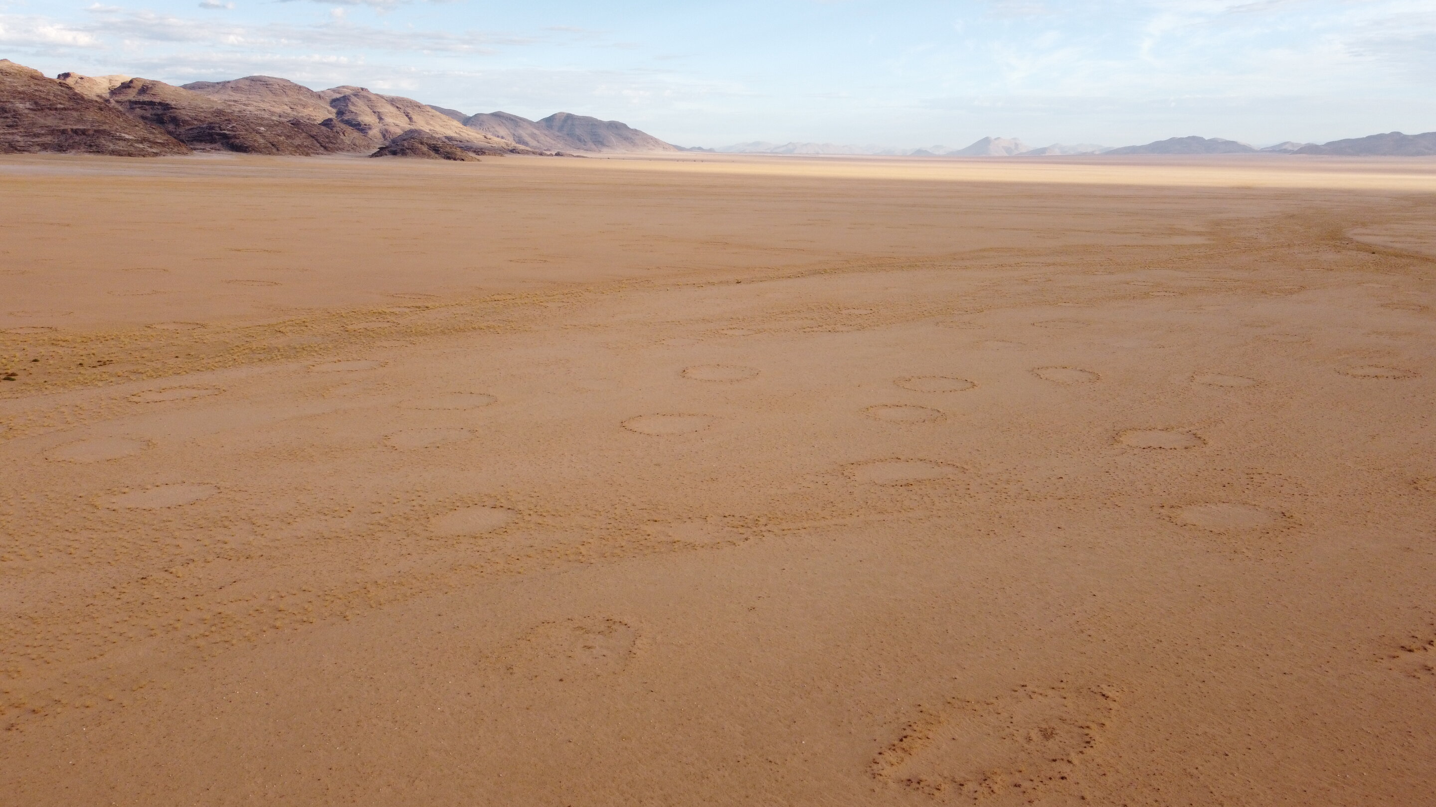 Deciphering the enigmatic global distribution of fairy circles