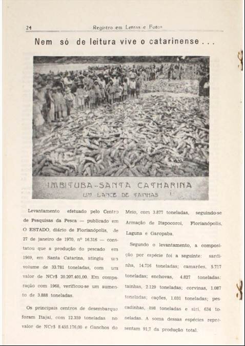 Diving into history: Newspapers offer historical perspectives on Brazil's  marine biodiversity