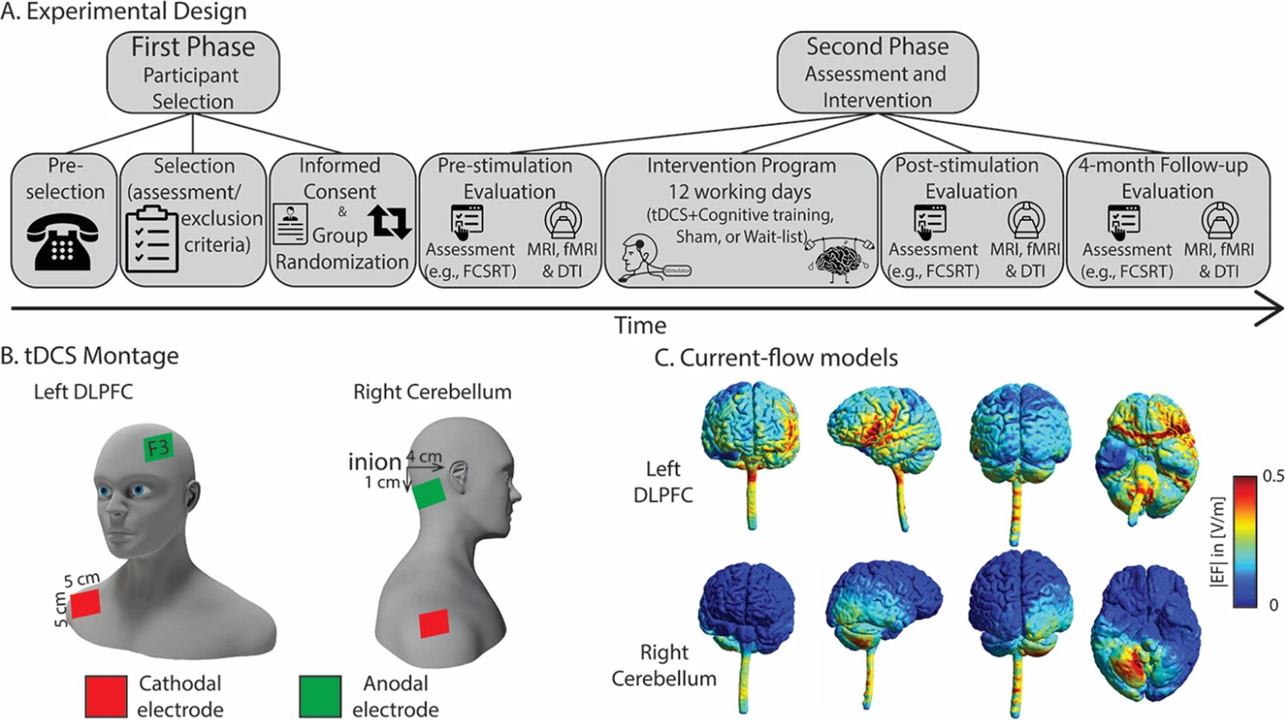 Elderly people can improve episodic memory via neurostimulation of the cerebellum, shows study