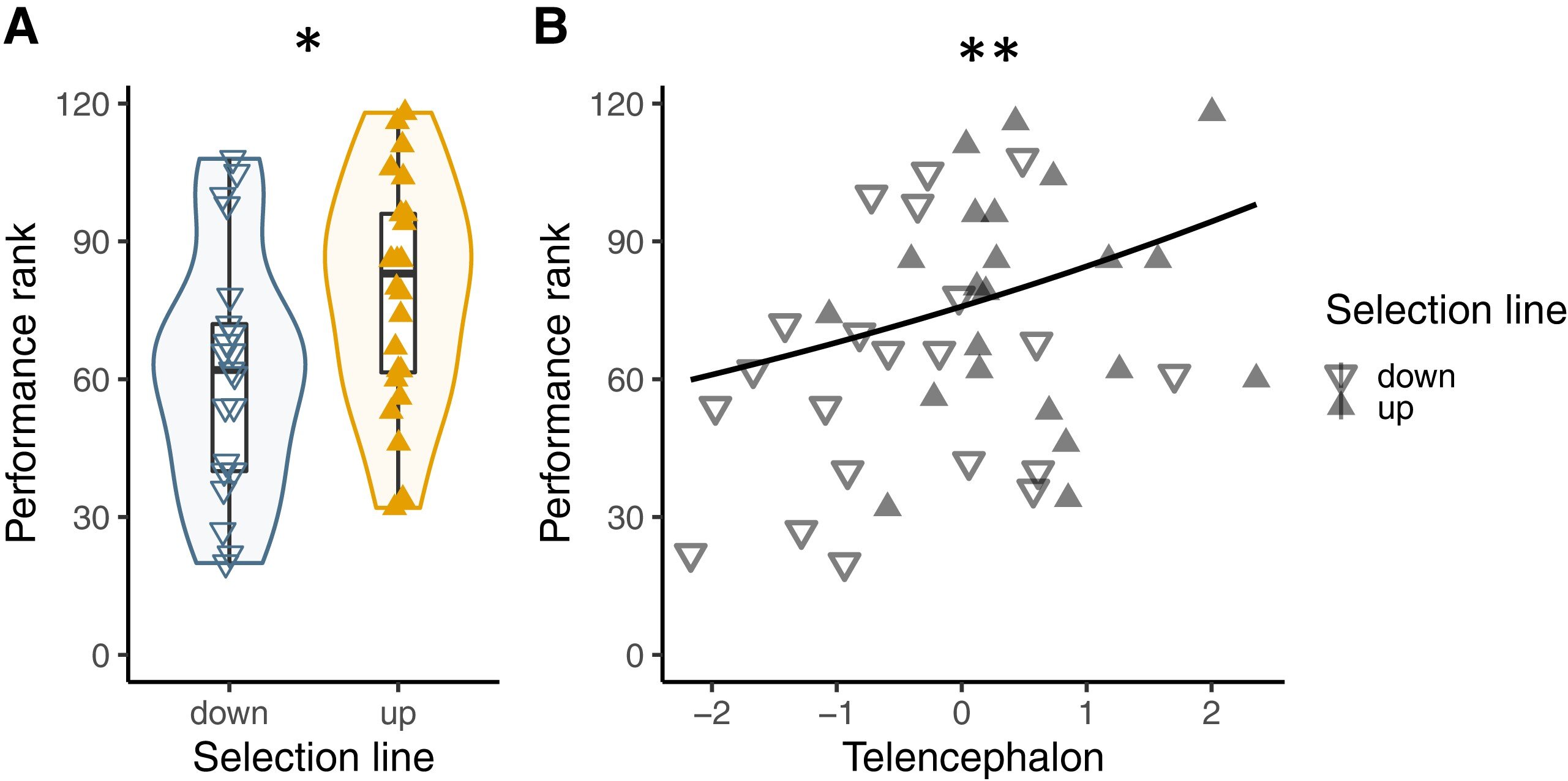 Experimental Enlargement of Relative Telencephalon Size Enhances Executive Functions in Fish Brains