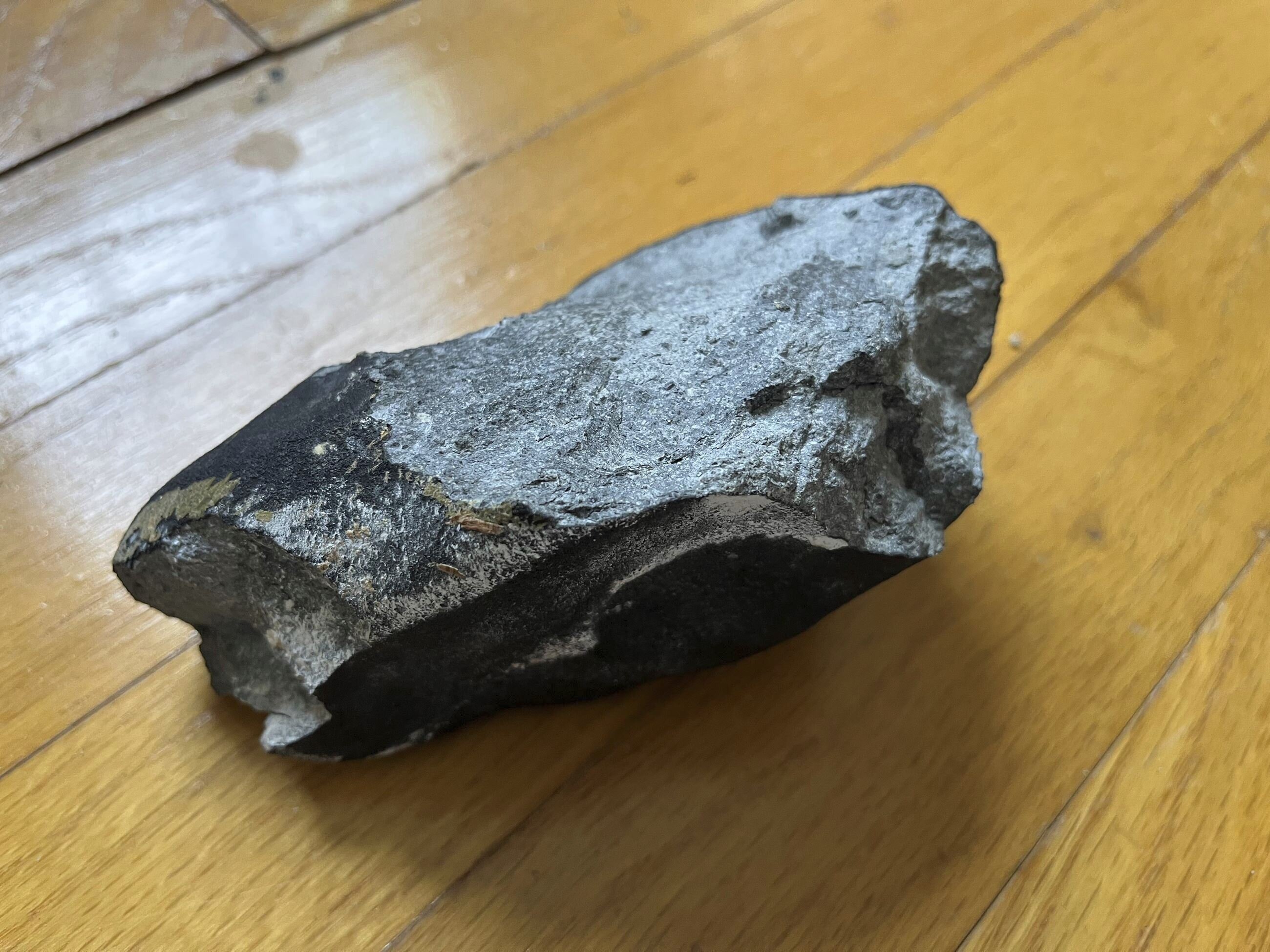 A meteorite crashed into a home in New Jersey and was made of metal.