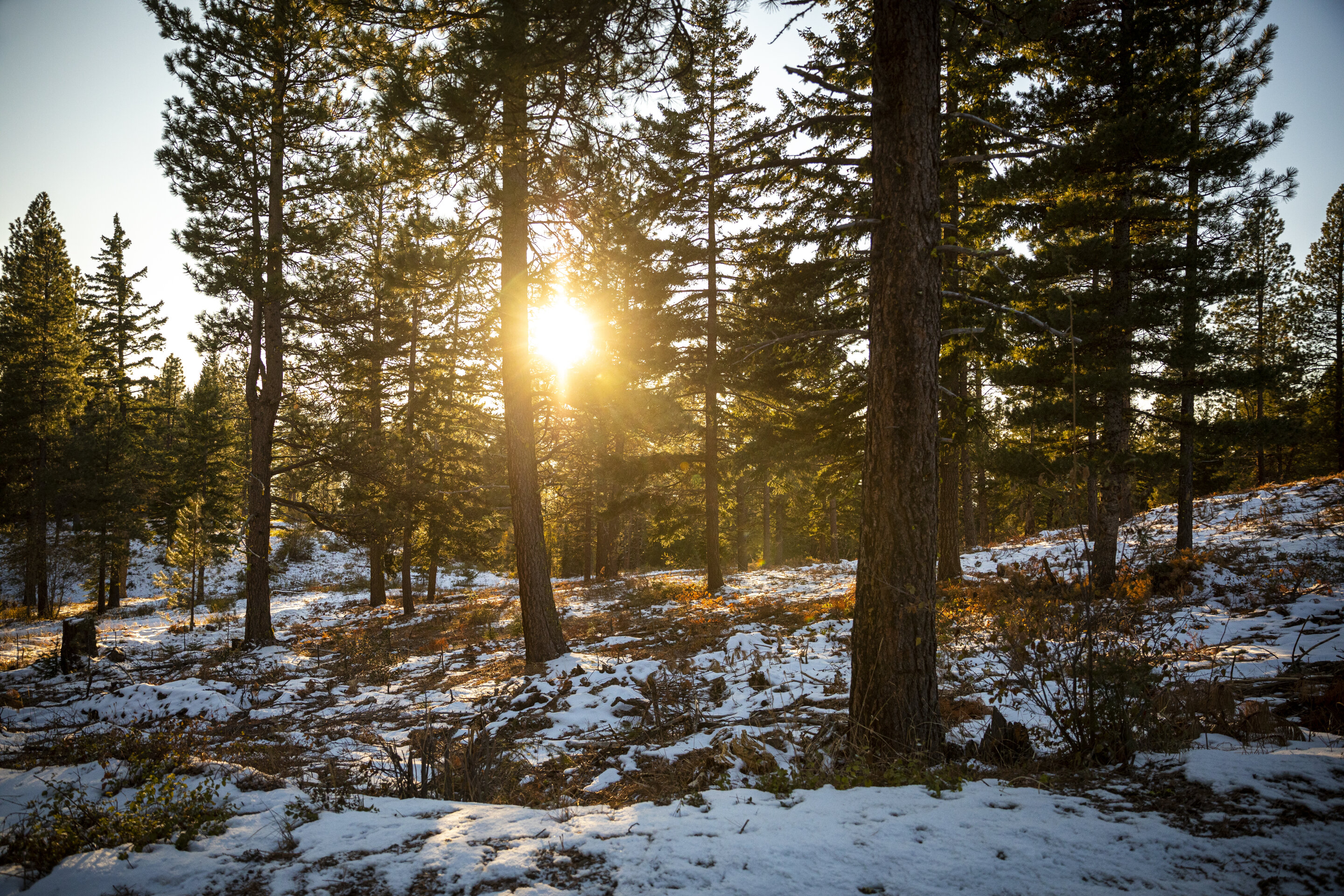 Fall snow levels can predict a season’s total snowpack in some western states