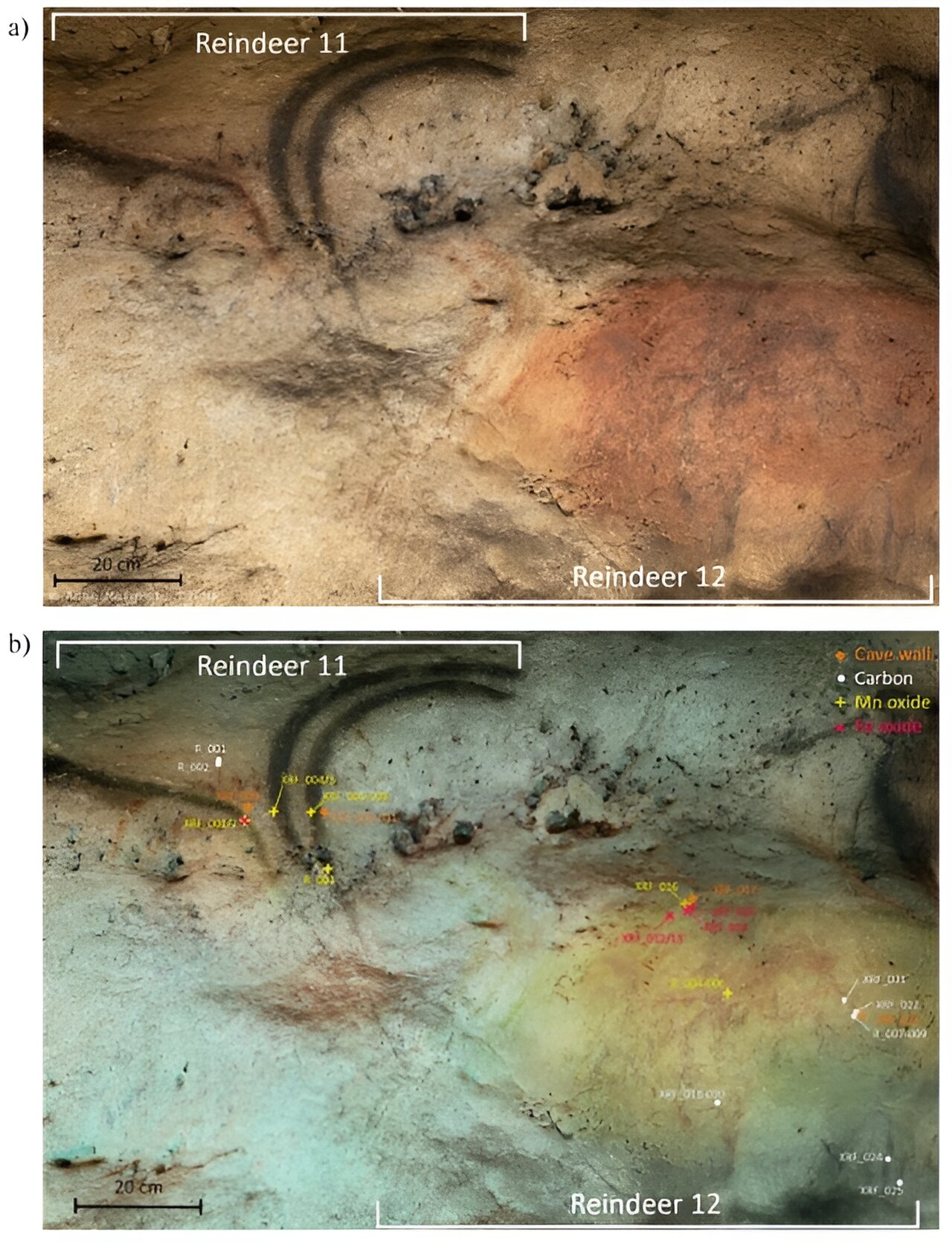 First discovery of carbon-based cave art in the Dordogne region of France could pave the way for accurate radiocarbon dating.