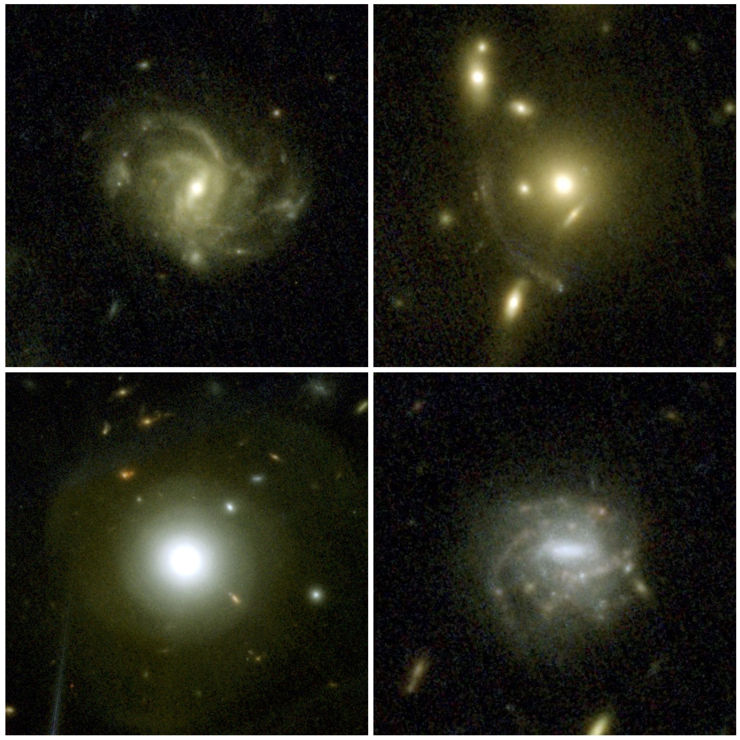Imágenes de cuatro galaxias de ejemplo seleccionadas de la primera época de las observaciones de COSMOS-Web NIRCam, que destacan la gama de estructuras que se pueden ver. En la parte superior izquierda hay una galaxia espiral barrada; en la esquina superior derecha hay un ejemplo de lente gravitacional, donde la masa de la galaxia central hace que la luz de una galaxia distante se estire en arcos; en la parte inferior izquierda hay una galaxia cercana que muestra capas de material, lo que sugiere que se fusionó con otra galaxia en el pasado; en la parte inferior derecha hay una galaxia espiral barrada con varios grupos de formación estelar activa. Crédito: COSMOS-Web/Kartaltepe, Casey, Franco, Larson, et al./RIT/UT Austin/CANDIDE.