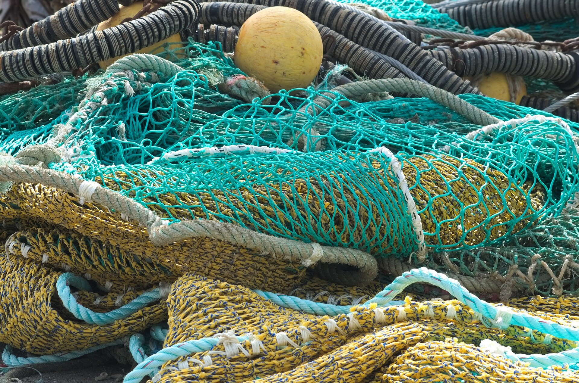 New framework developed to monitor the impact of ‘destructive’ fishing