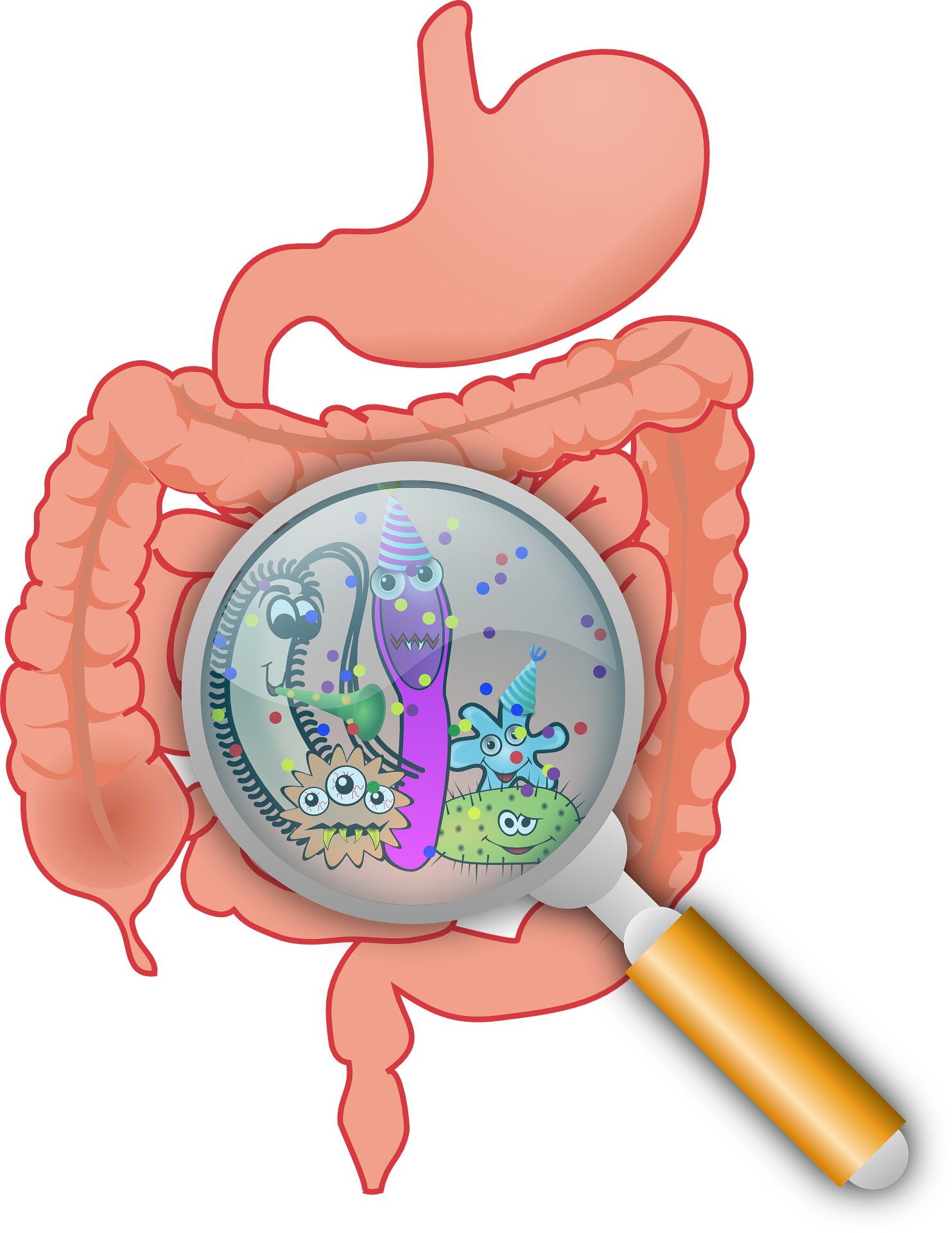 Common food preservative has unexpected effects on the gut microbiome