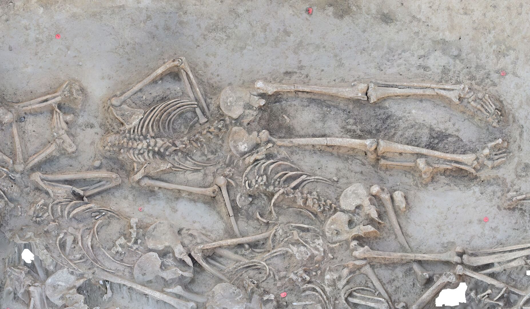 Headless skeletons in a settlement trench: A 7,000-year-old mass grave ...