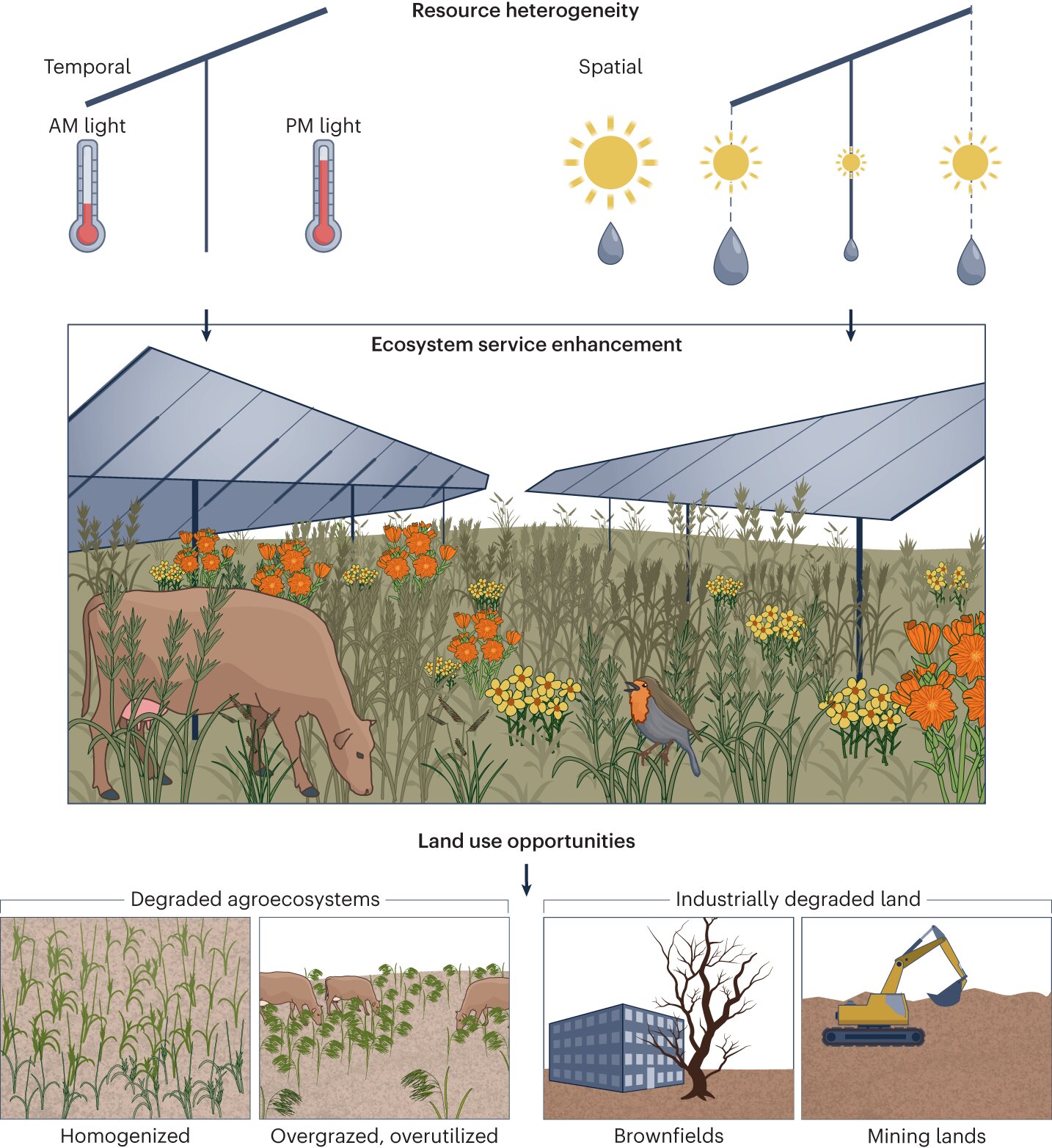 photo of How can solar energy installations prioritize ecosystems? image