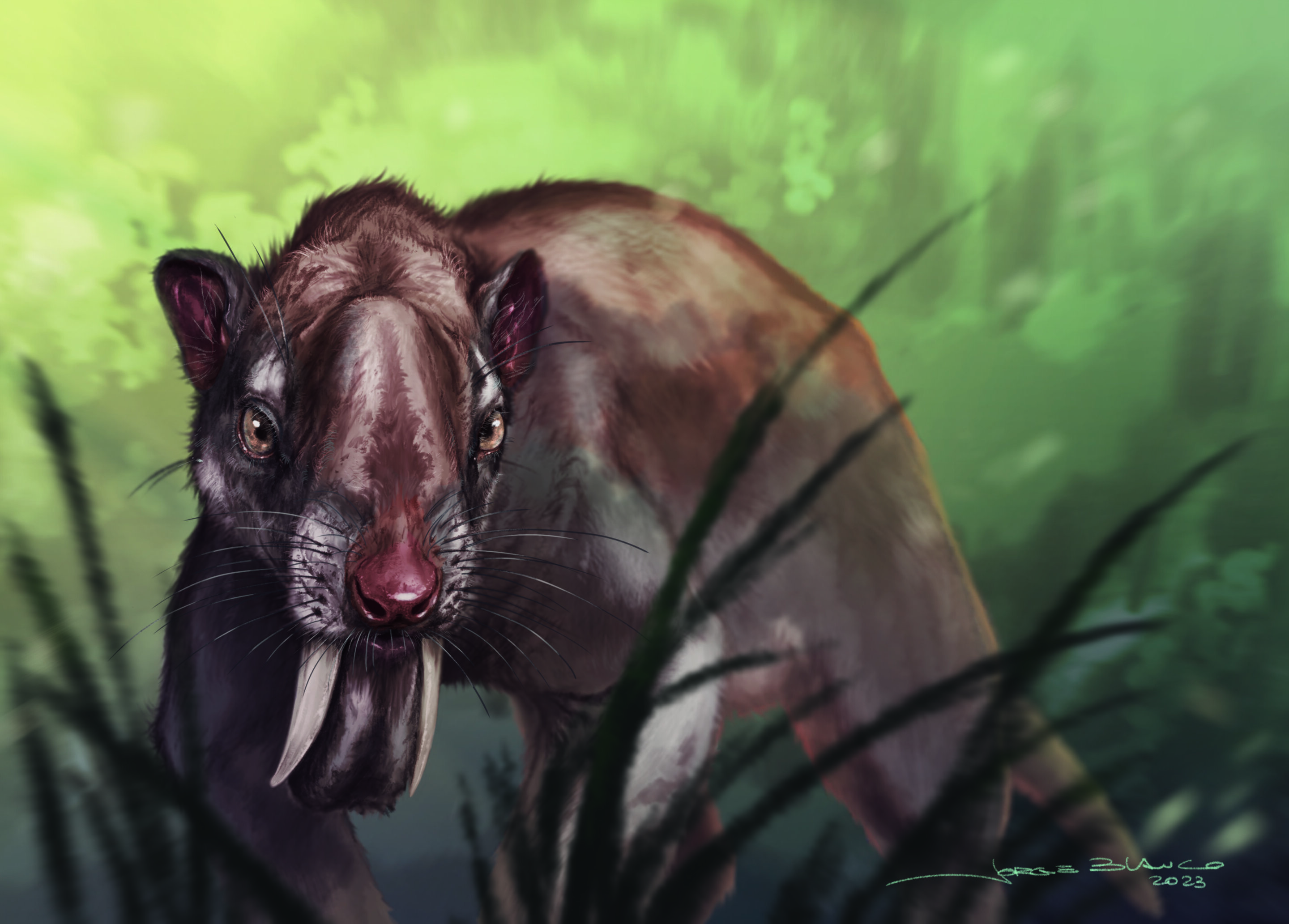 How the ‘marsupial’ thylacine saw its world