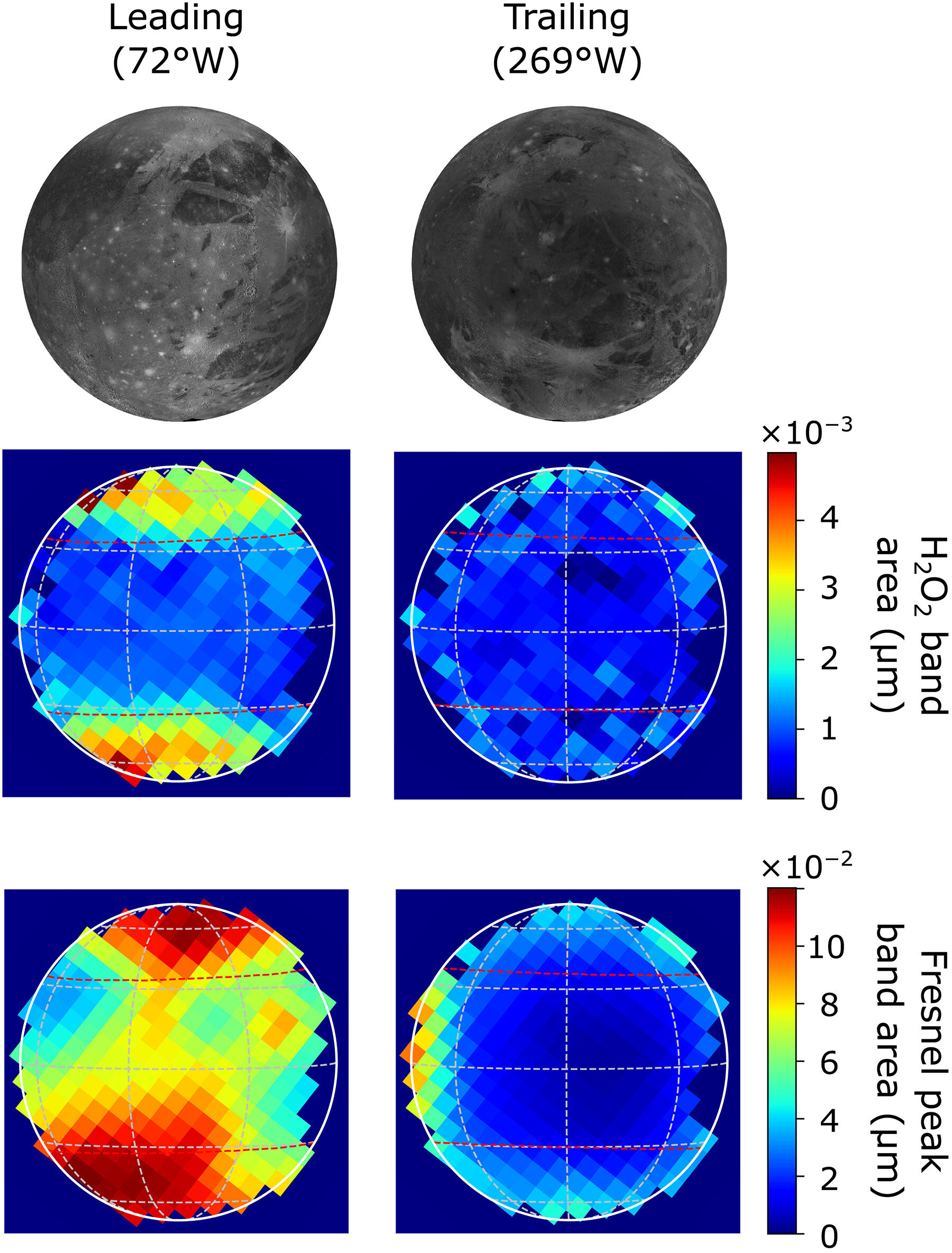 Hydrogen peroxide found on Jupiter's moon Ganymede only in higher latitudes