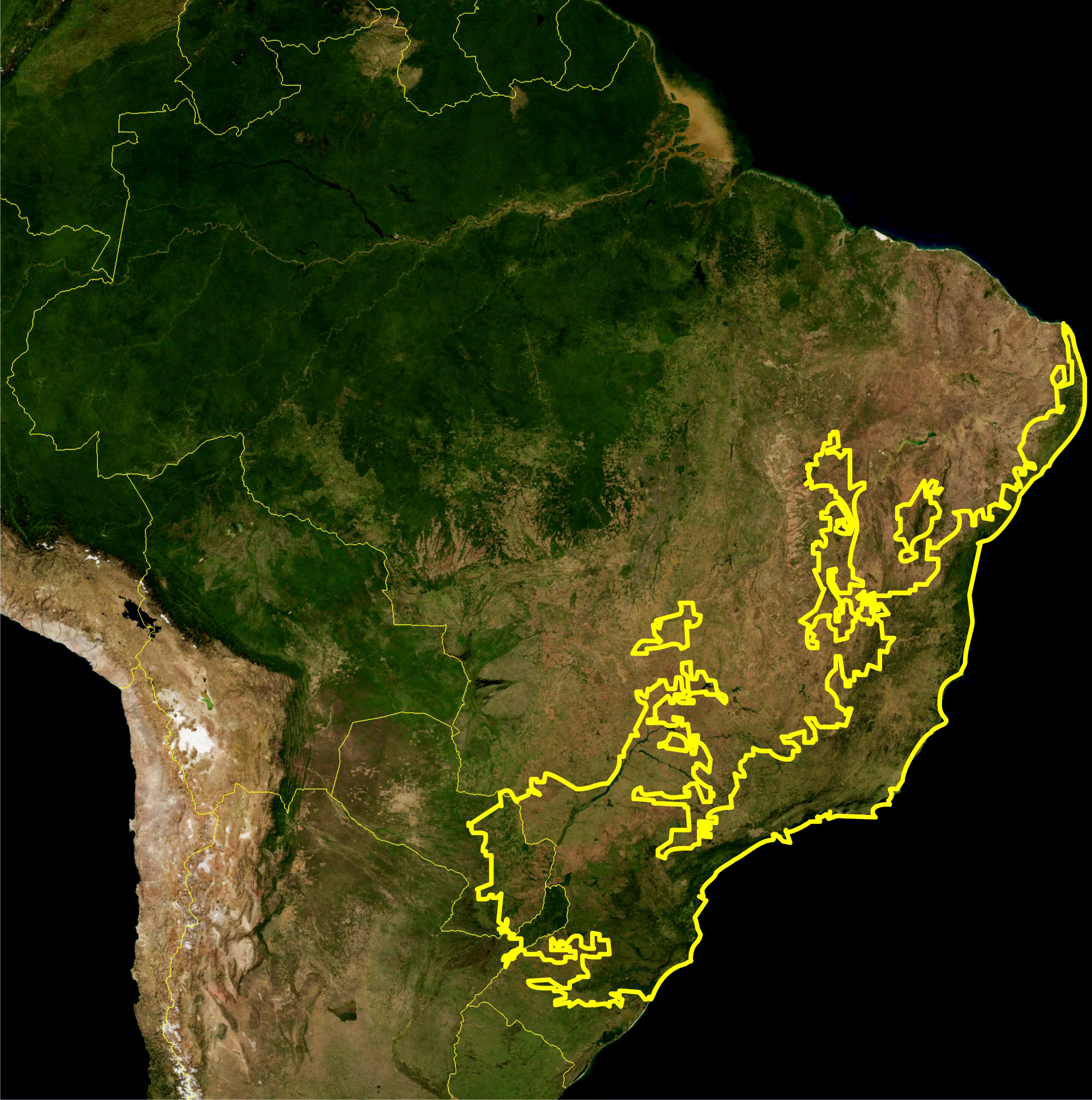 Brazil's Atlantic Forest will radically change in the next 50 years