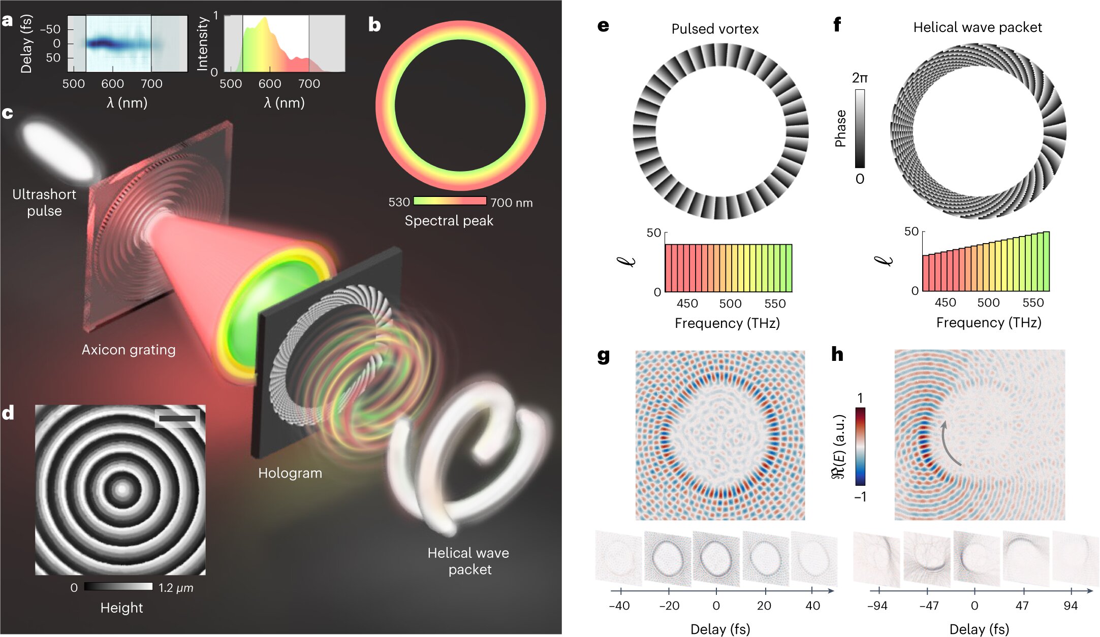 Photonics gets a fun twist with ultrashort light pulses modeled after a spring toy.