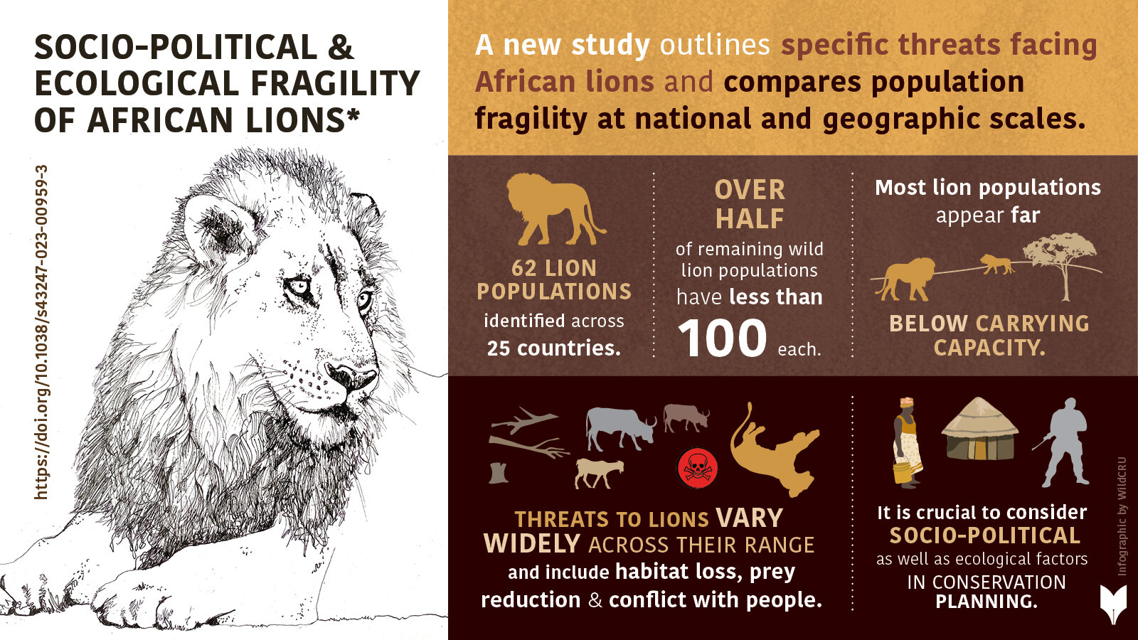 New analysis reveals the differing threats to African lion populations