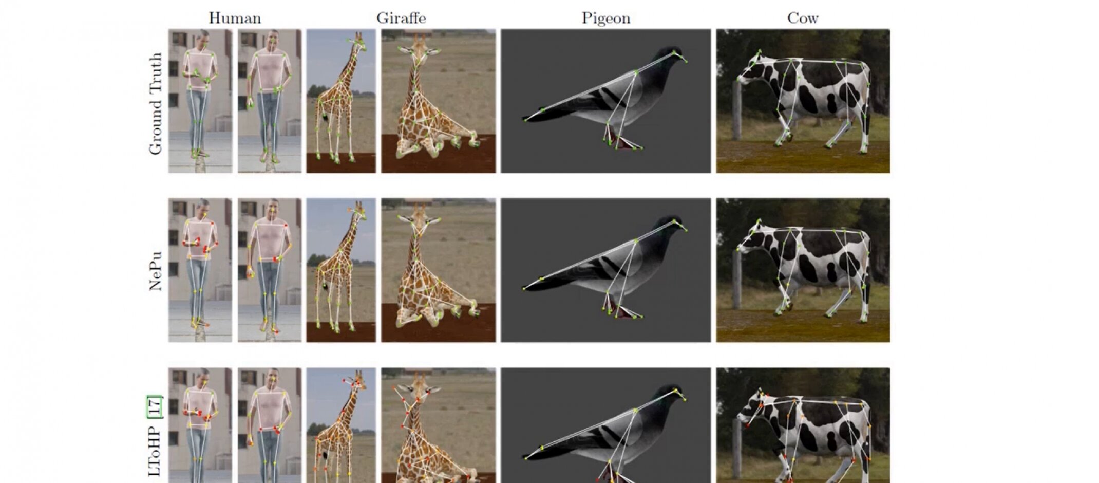 Designing a ‘neural puppeteer’ to recognize skeletal nodes