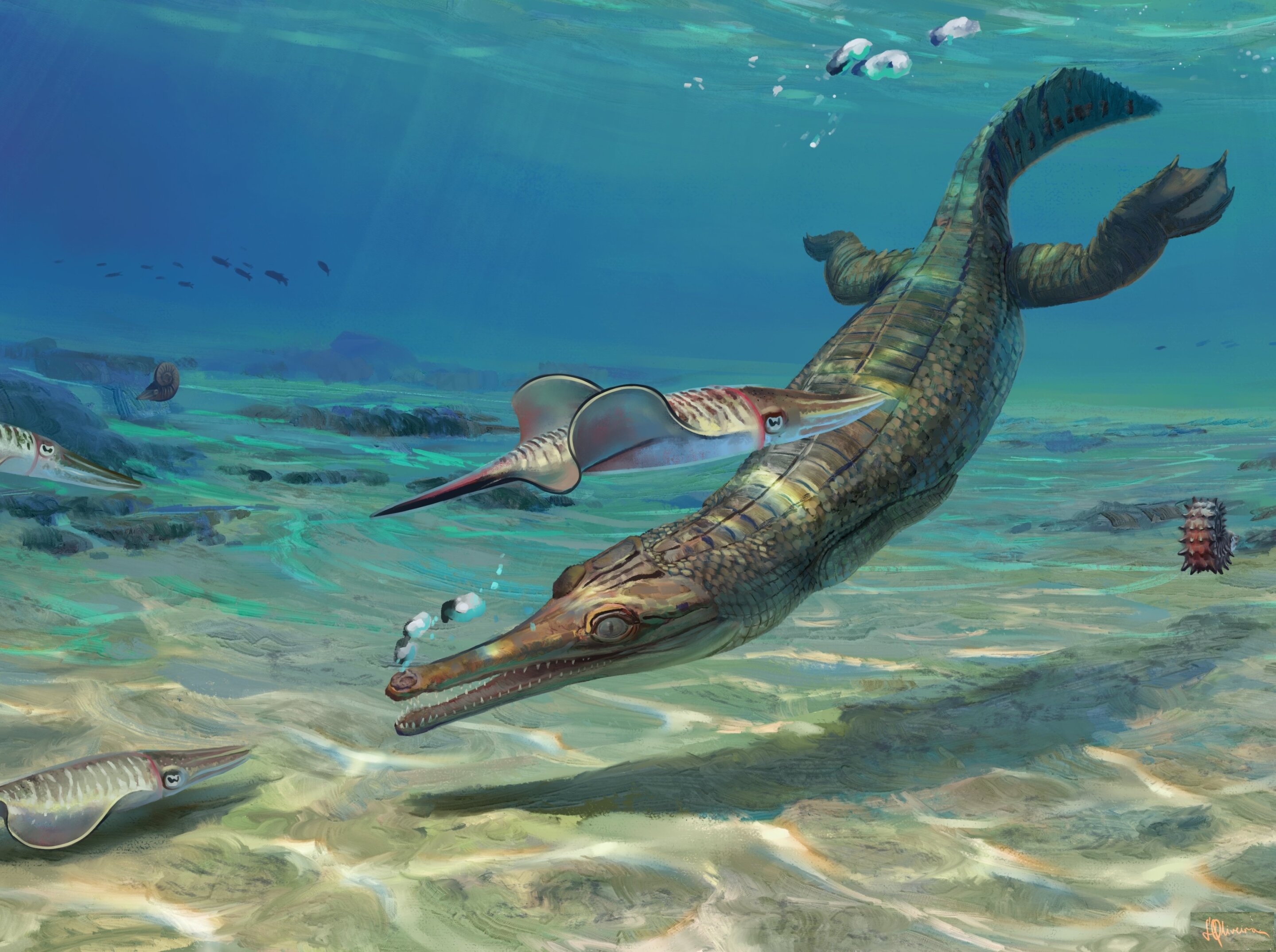 photo of New ancient 'marine crocodile' discovered on UK's Jurassic Coast one of the oldest specimens of its type ever found image