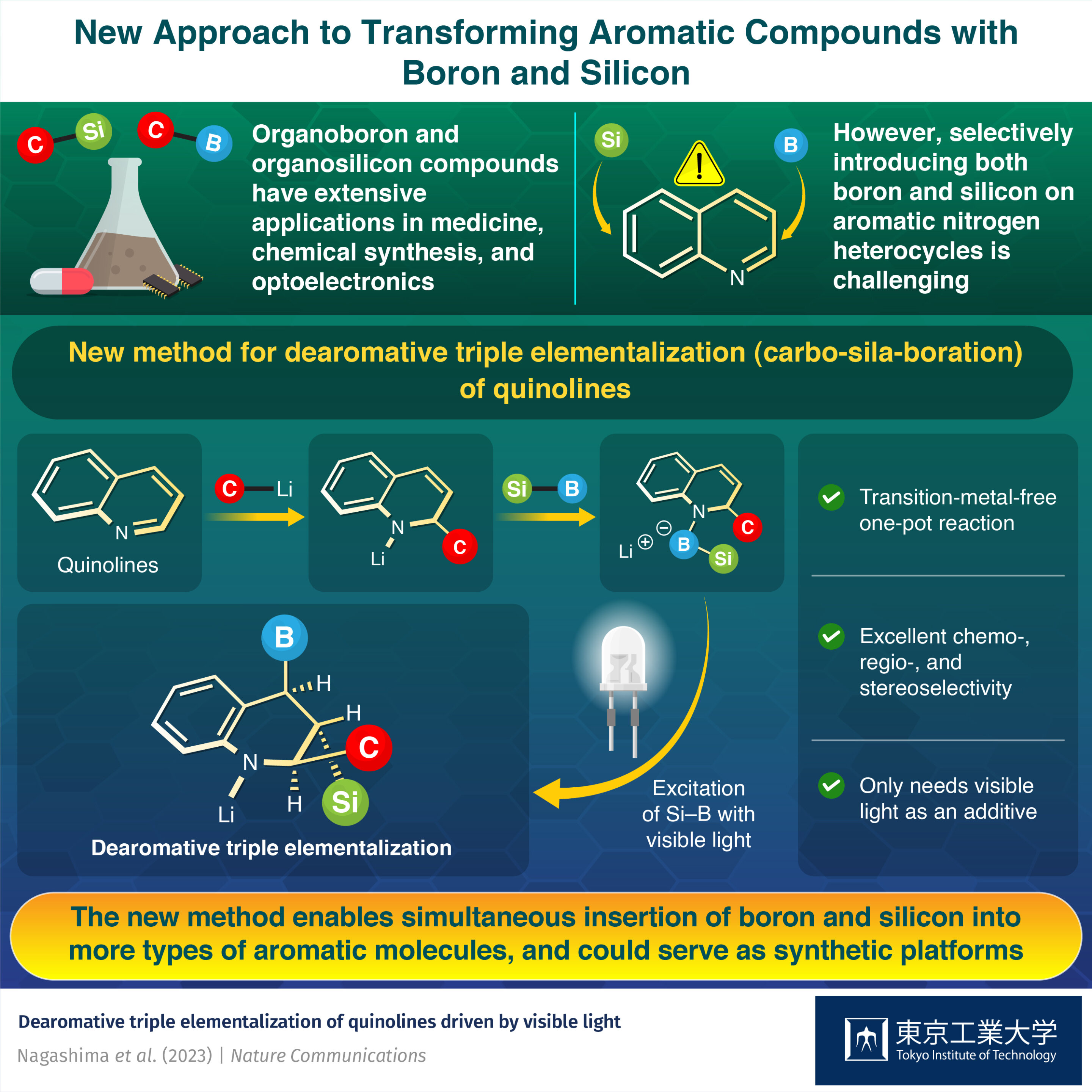 New horizons for organoboron and organosilicon chemistry with triple elementalization 
