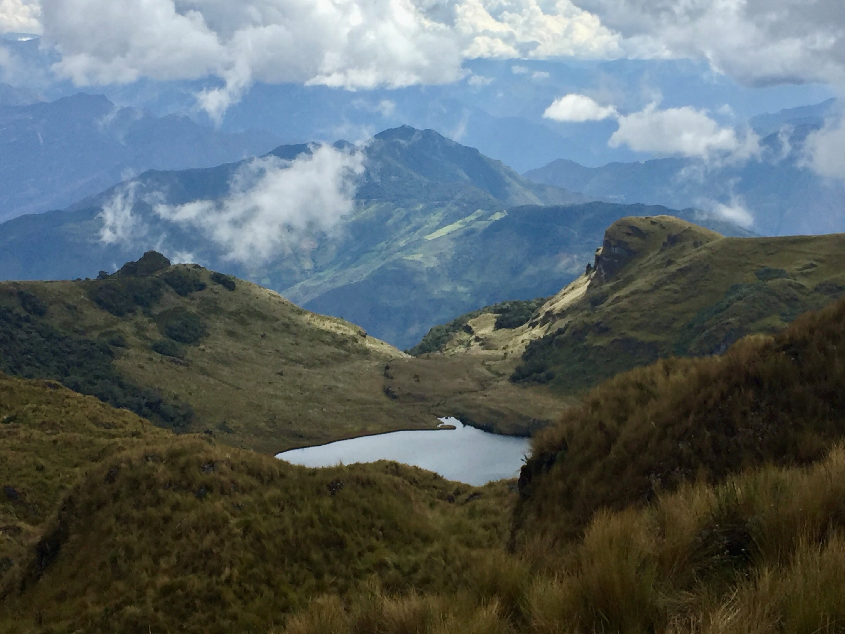 New study finds burning by humans and warming altered Andean ecosystems