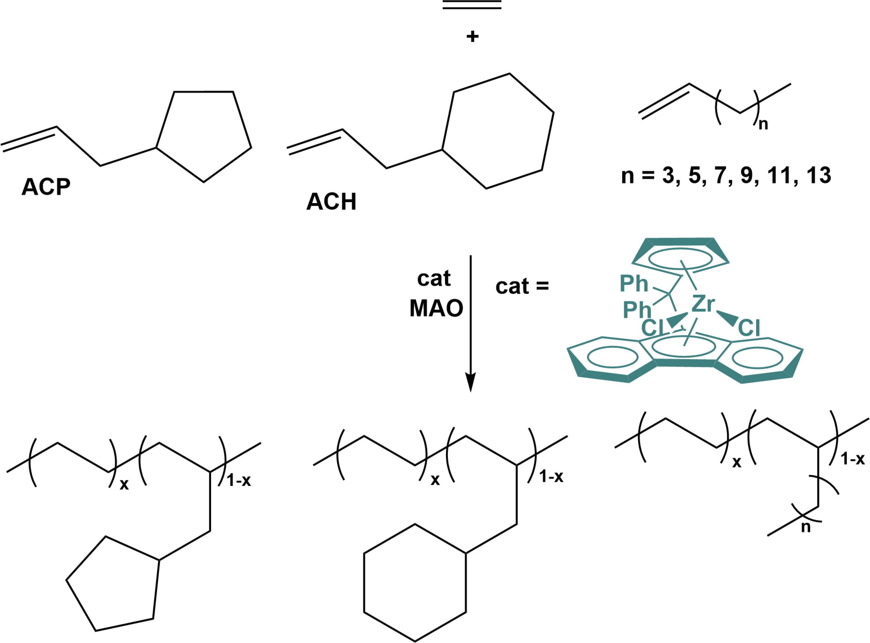 Insights into ethylene copolymerization with linear and end-cyclized olefins using a metallocene catalyst