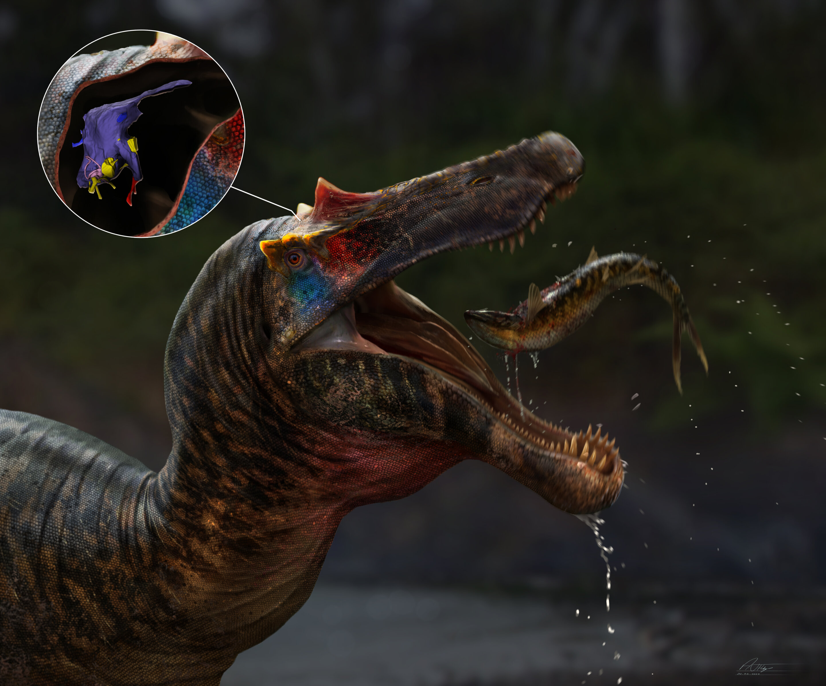 #Researchers reveal the oldest spinosaur brains