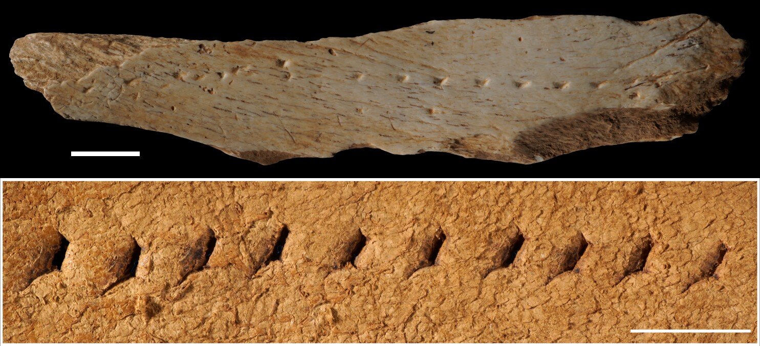 Los agujeros en los fragmentos de huesos antiguos indican que se usaron como base para hacer agujeros en la ropa de cuero.