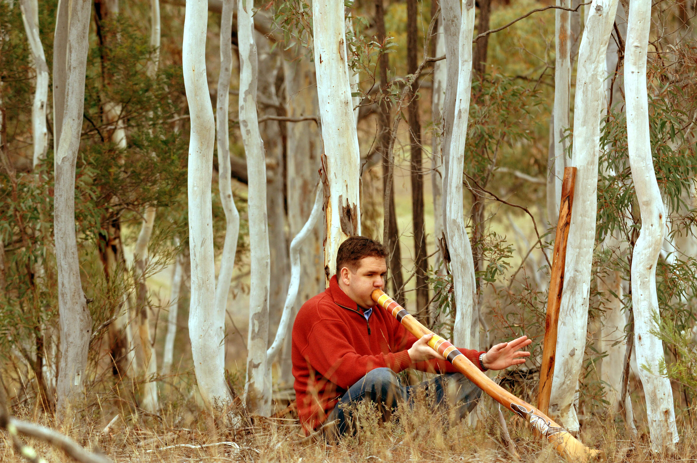 Picking up good vibrations: The surprising physics of the didgeridoo