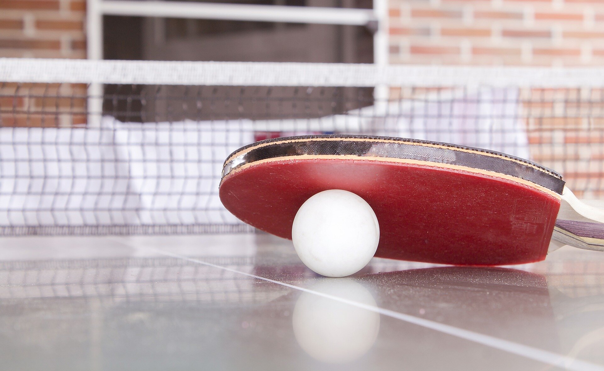 Berlin patients use ping-pong to ease Parkinsons pain