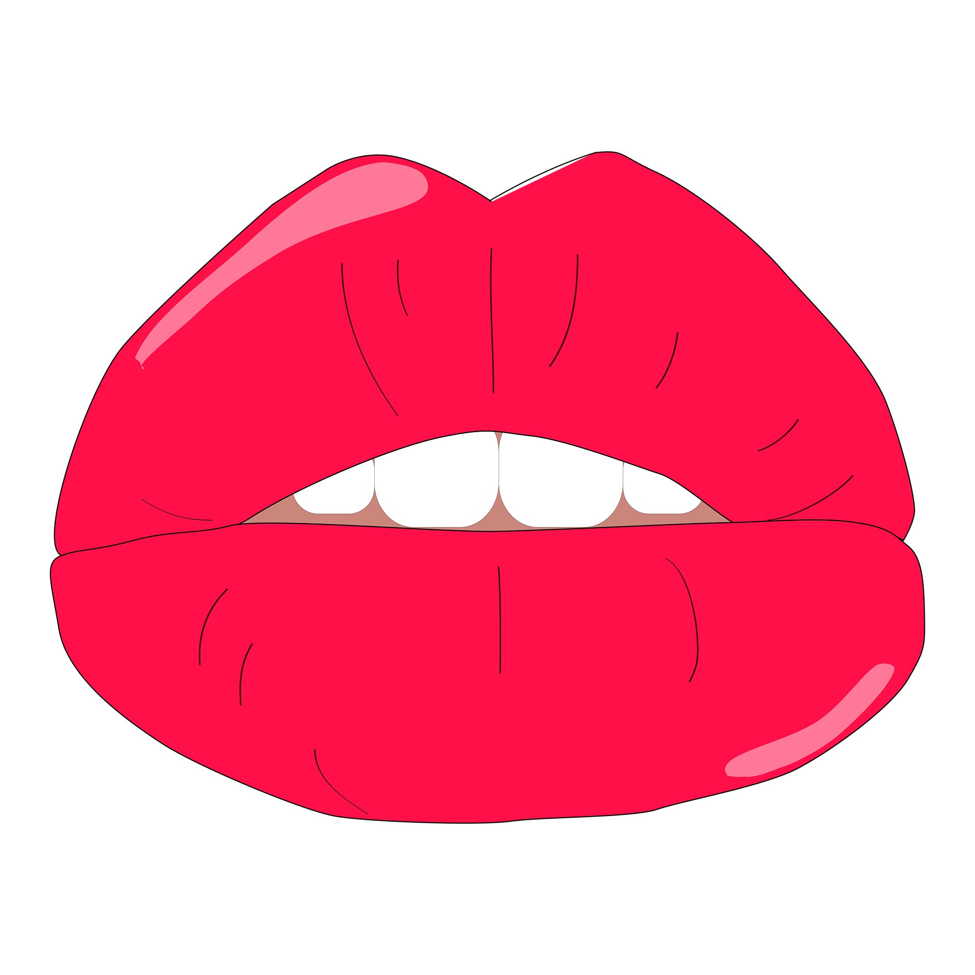 Can Forensic Investigations Benefit from Enhanced Speaker Recognition for Detecting Pouted Lips?