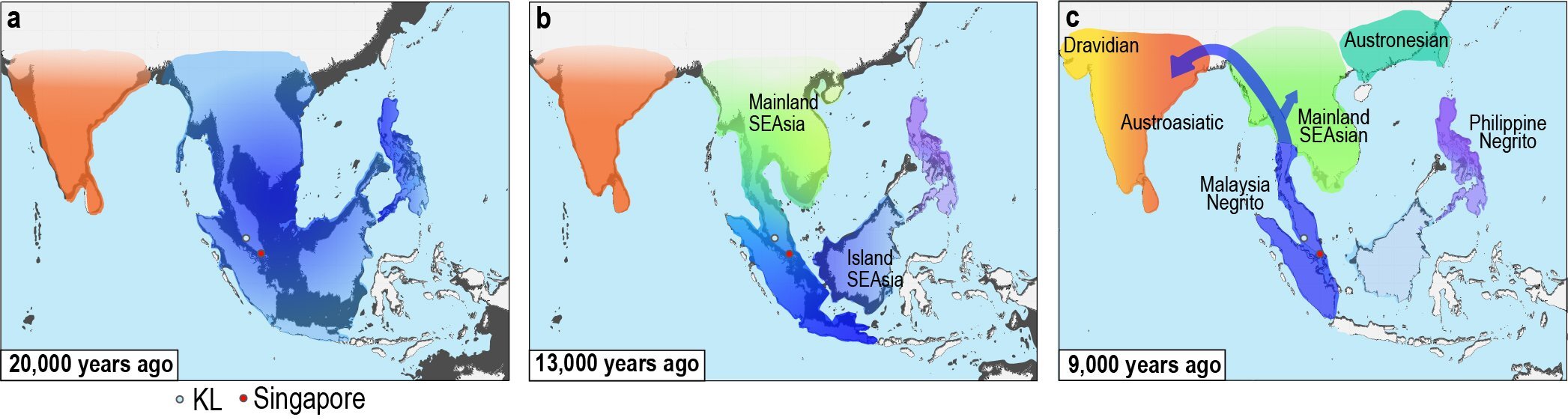 Prehistoric human migration in Southeast Asia driven by sea-level rise, study reveals