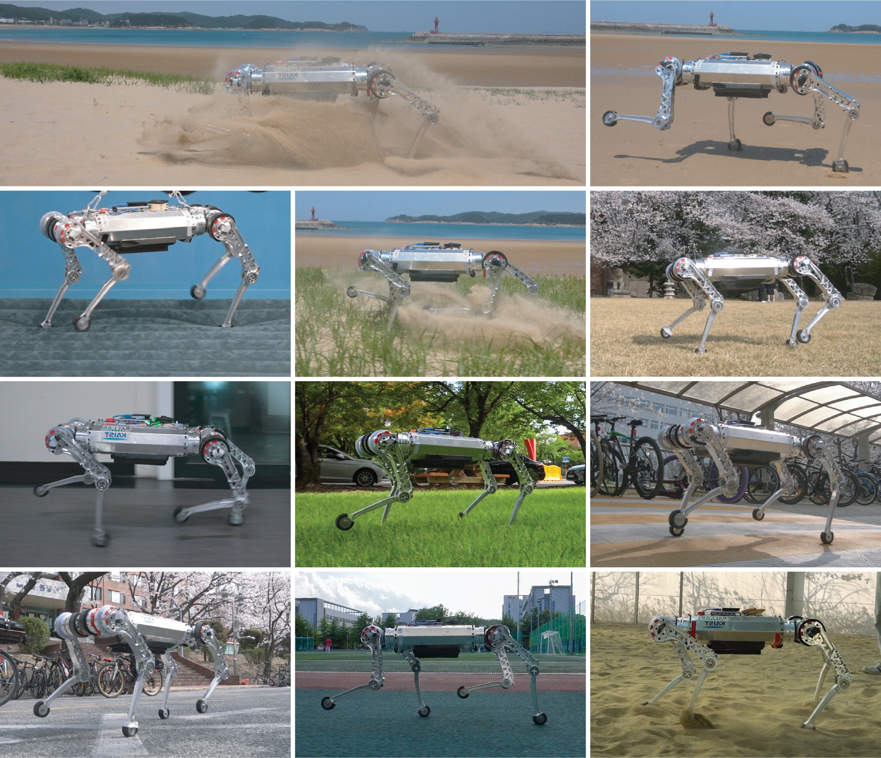 RaiBo: A versatile robo-dog that runs through a sandy beach at 3 meters per second