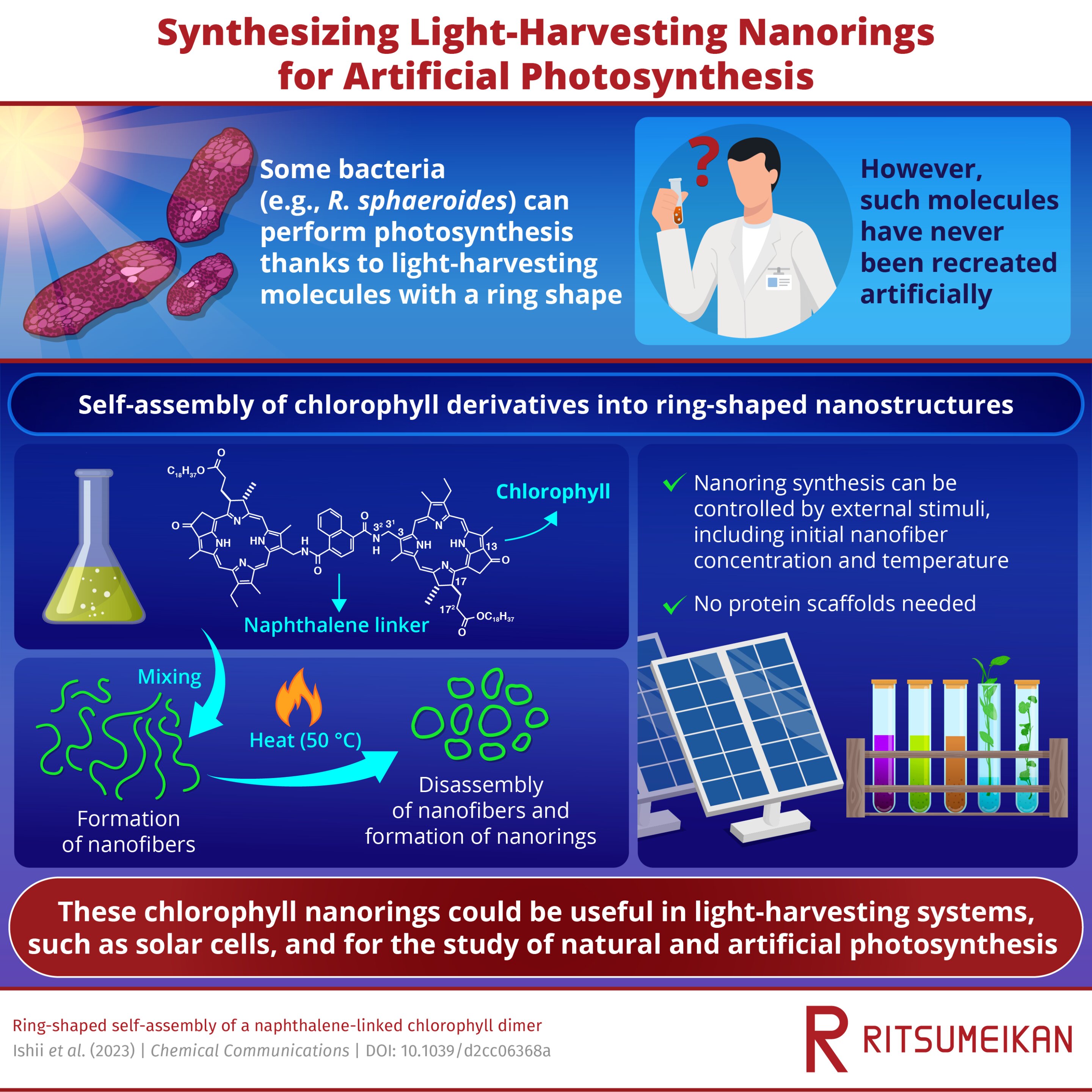 #Recreating the natural light-harvesting nanorings in photosynthetic bacteria