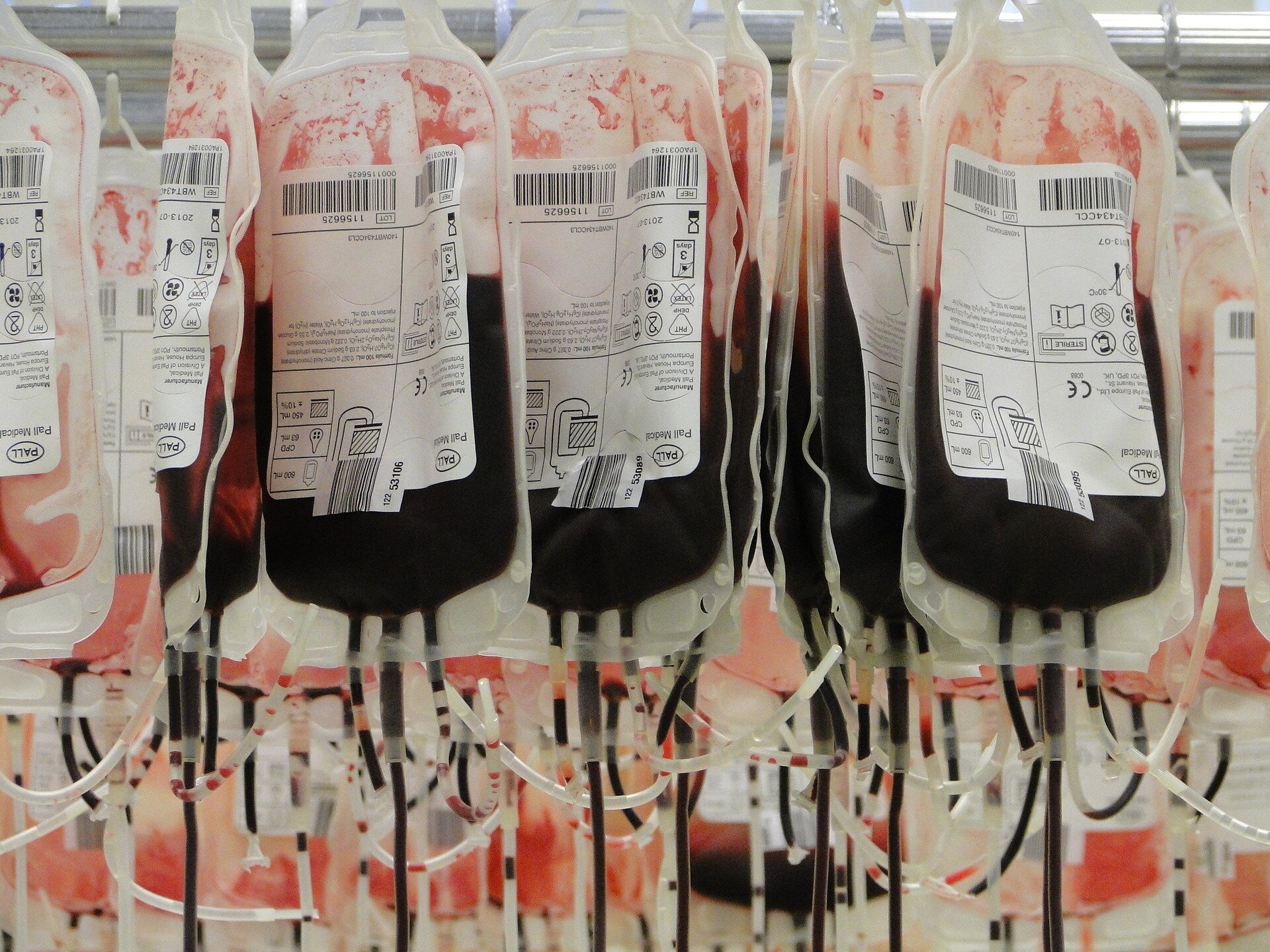 New research shows luspatercept enables majority of patients with MDS to end reliance on blood transfusions