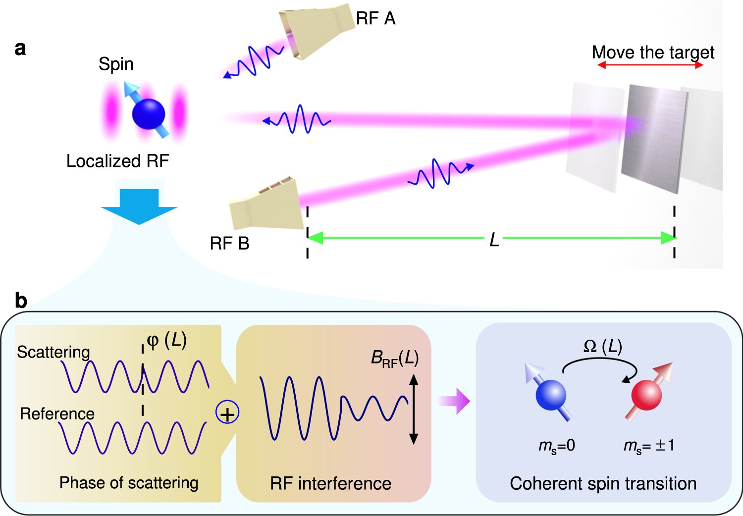 Research team realizes quantum-enhanced microwave ranging