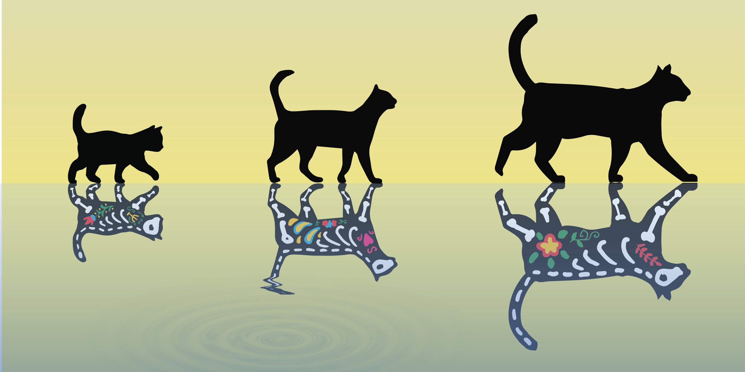 En ağır Schrödinger’in kedisi, küçük bir kristalin iki salınım durumunun üst üste yerleştirilmesiyle elde edildi.