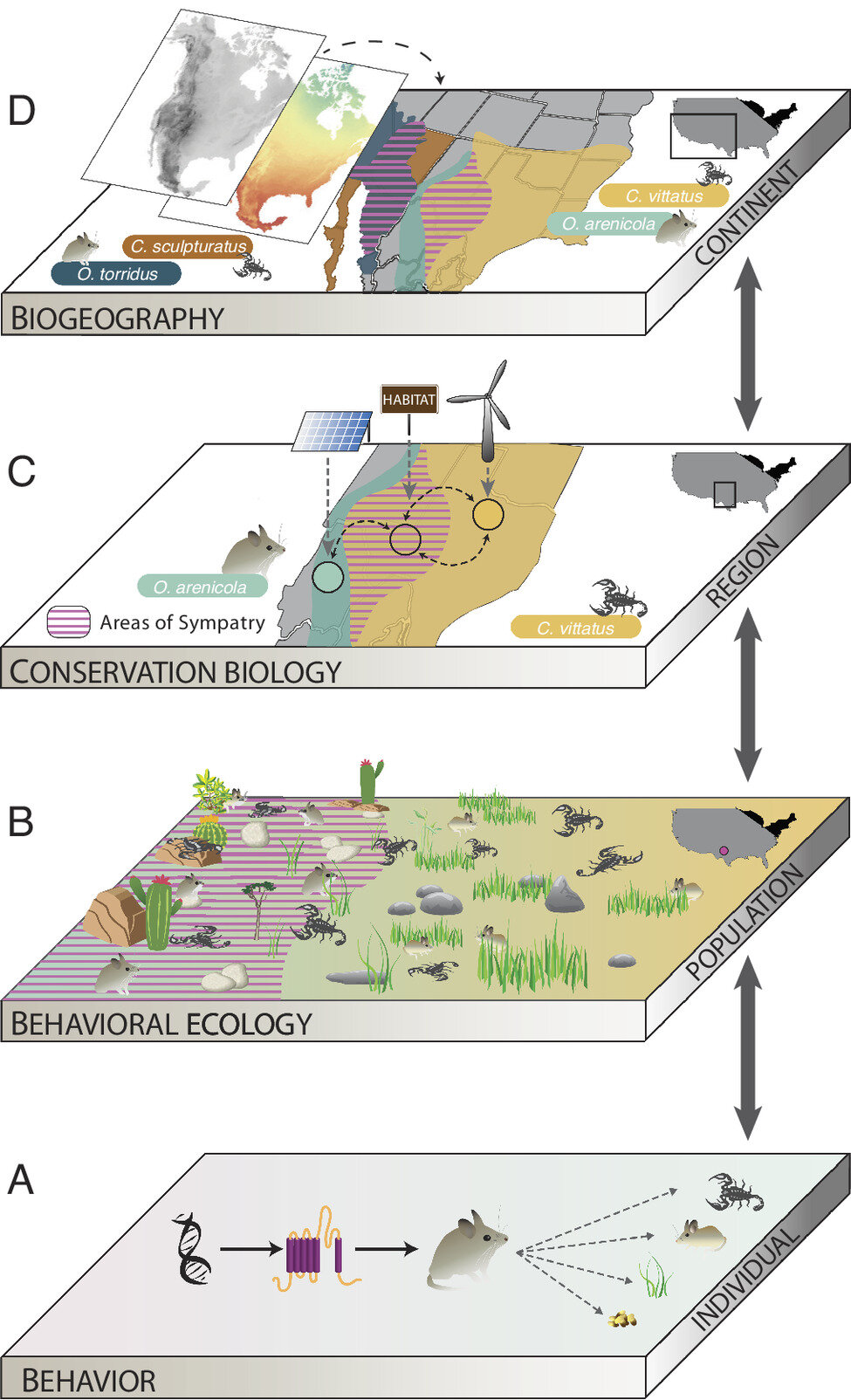 2023 WeDigBio's Why Dig Bio–Major Motivations Across Scale for Digitizing  Biodiversity on Vimeo