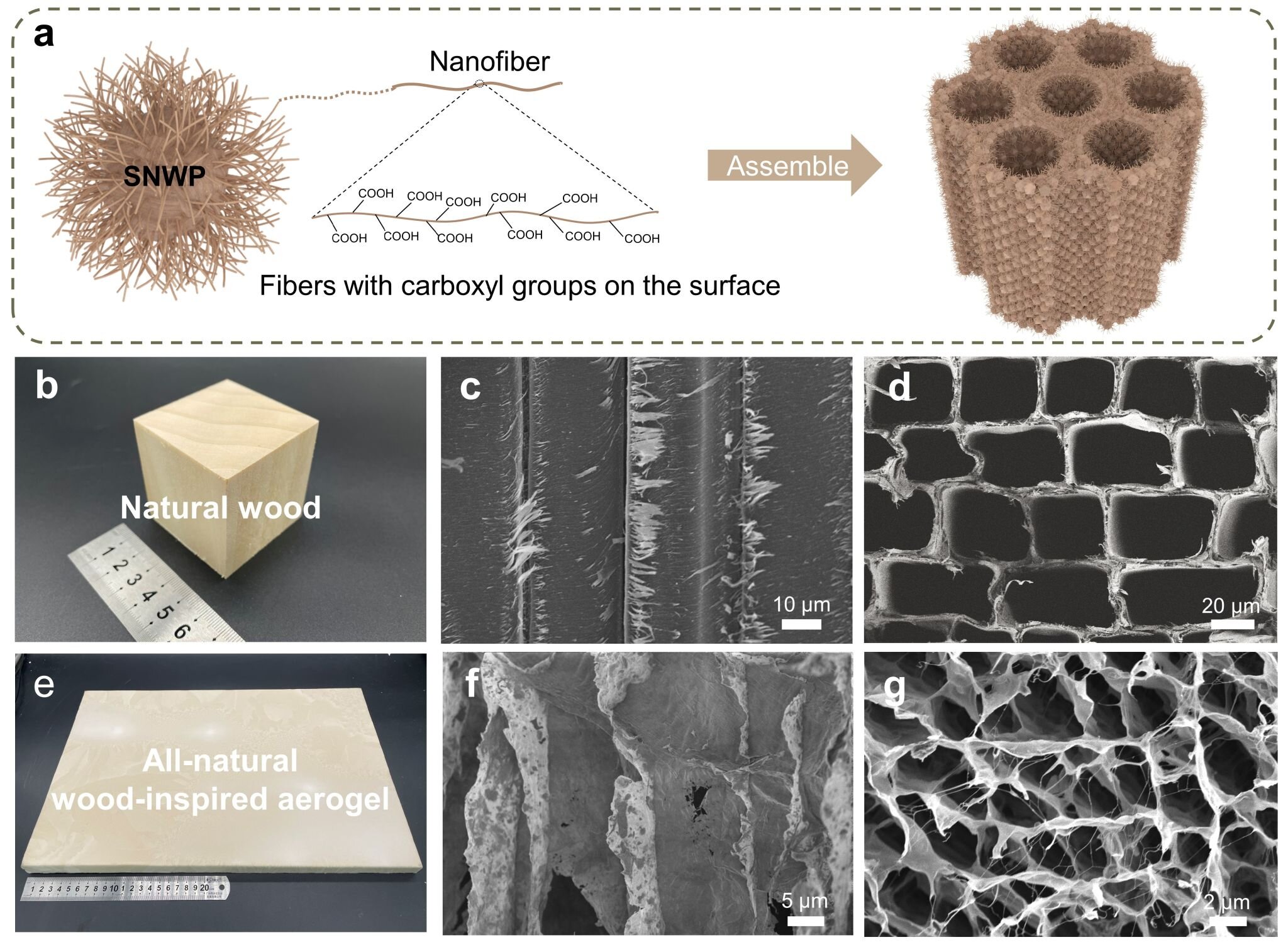 An All‐Natural Wood‐Inspired Aerogel - Han - 2023 - Angewandte Chemie  International Edition - Wiley Online Library