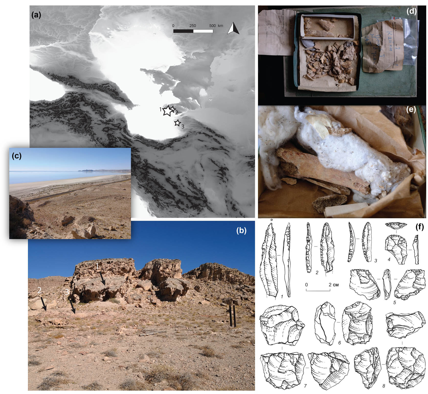 Die Entdeckung von Muschelperlen wirft Licht auf das Segeln in der Steinzeit