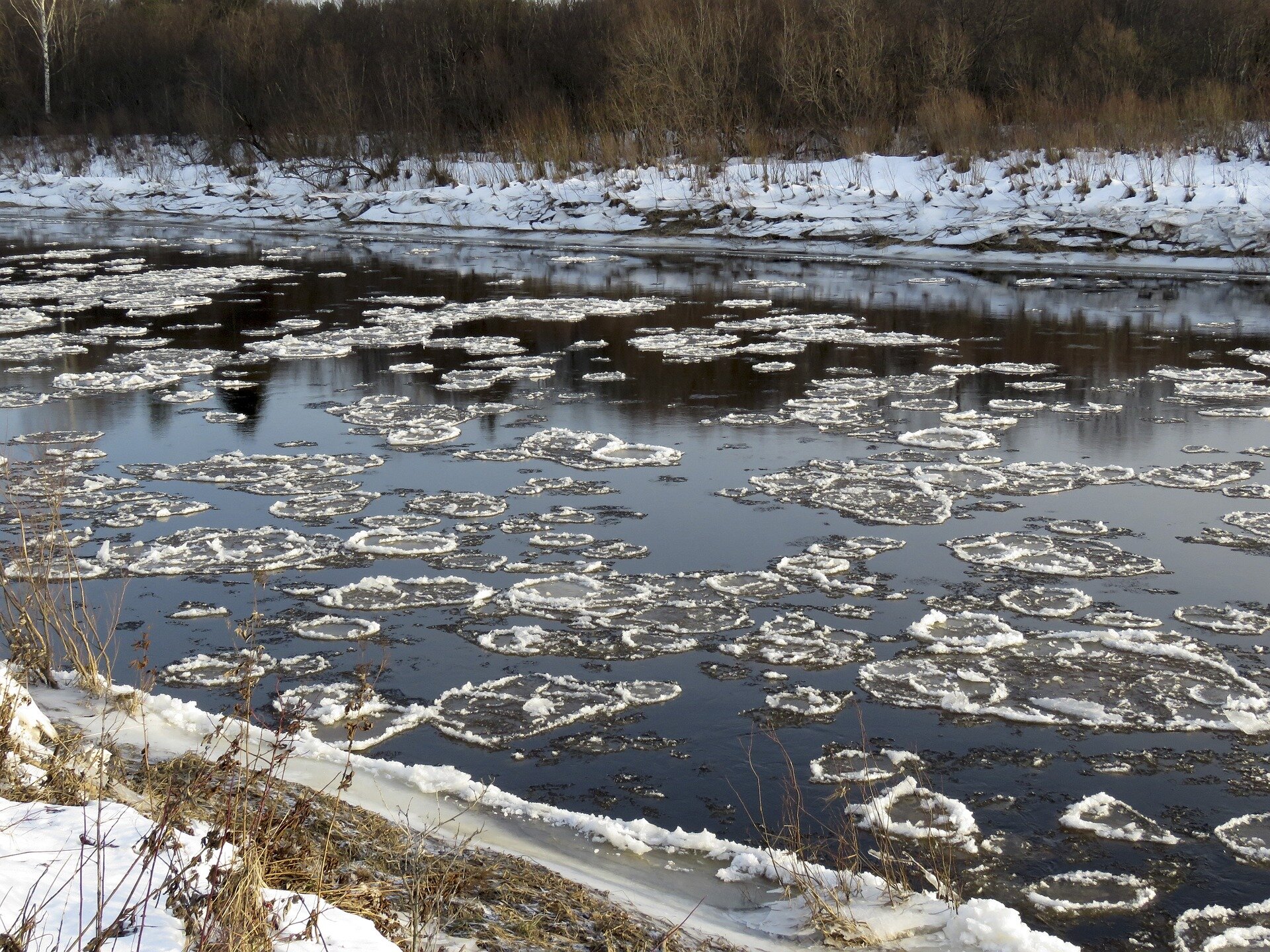 Ледостав что это такое. Шуга лед. Шуга лед на реке. Ледяная Шуга на реке. Шуга гидрология.