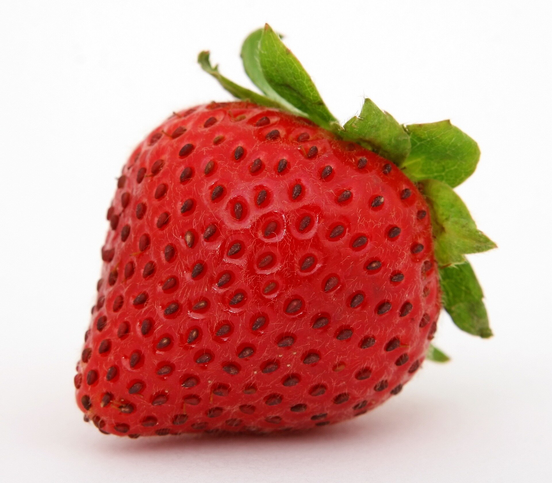 Newly Discovered Protein Responsible for Regulating the Production of Red Pigment in Strawberries Identified by Researchers