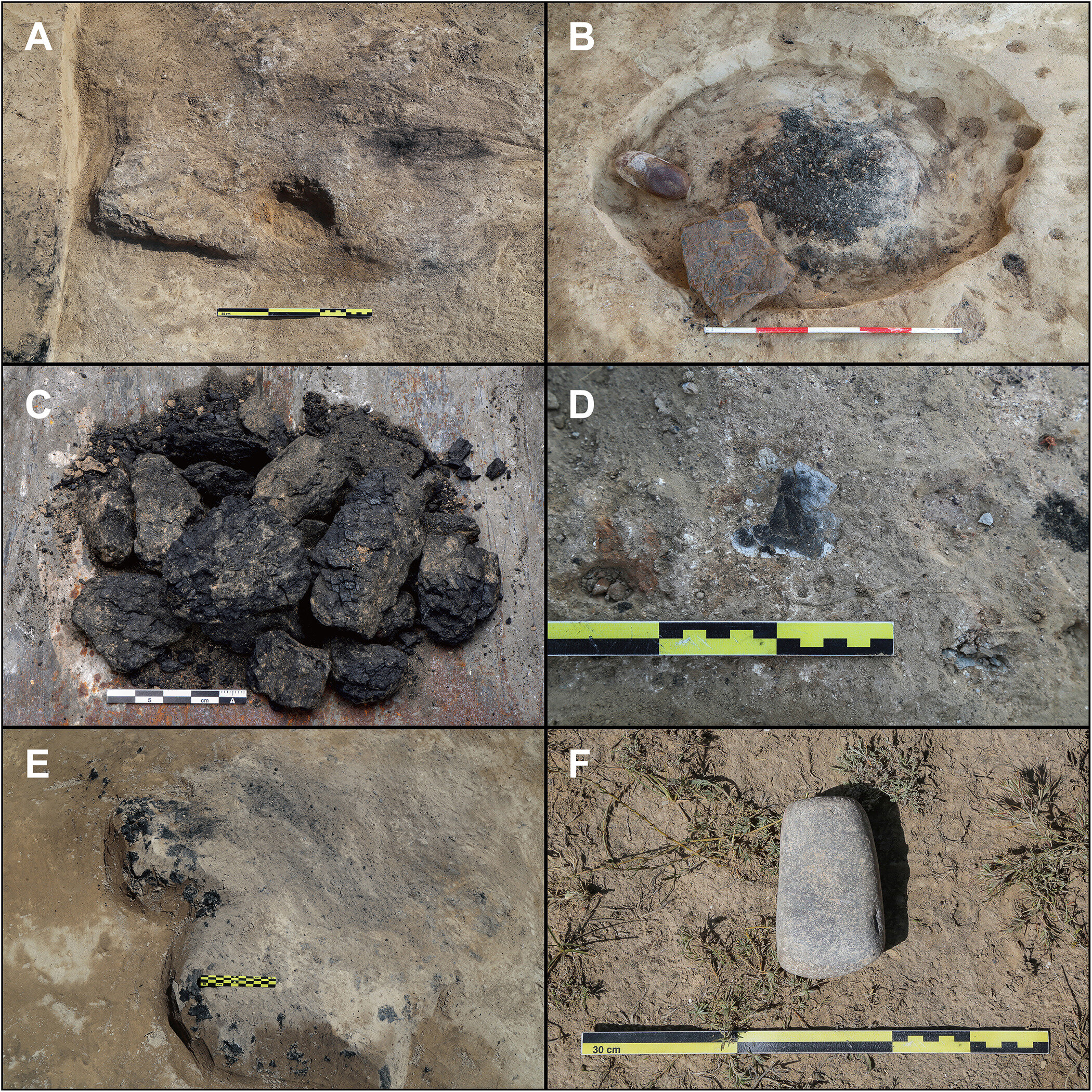 Systematic use of coal as a fuel source found at Bronze Age dig site