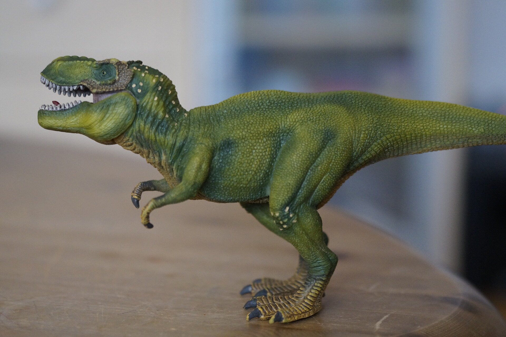 Om Nom Nom: T. Rex Was, Indeed, A Voracious Hunter : NPR